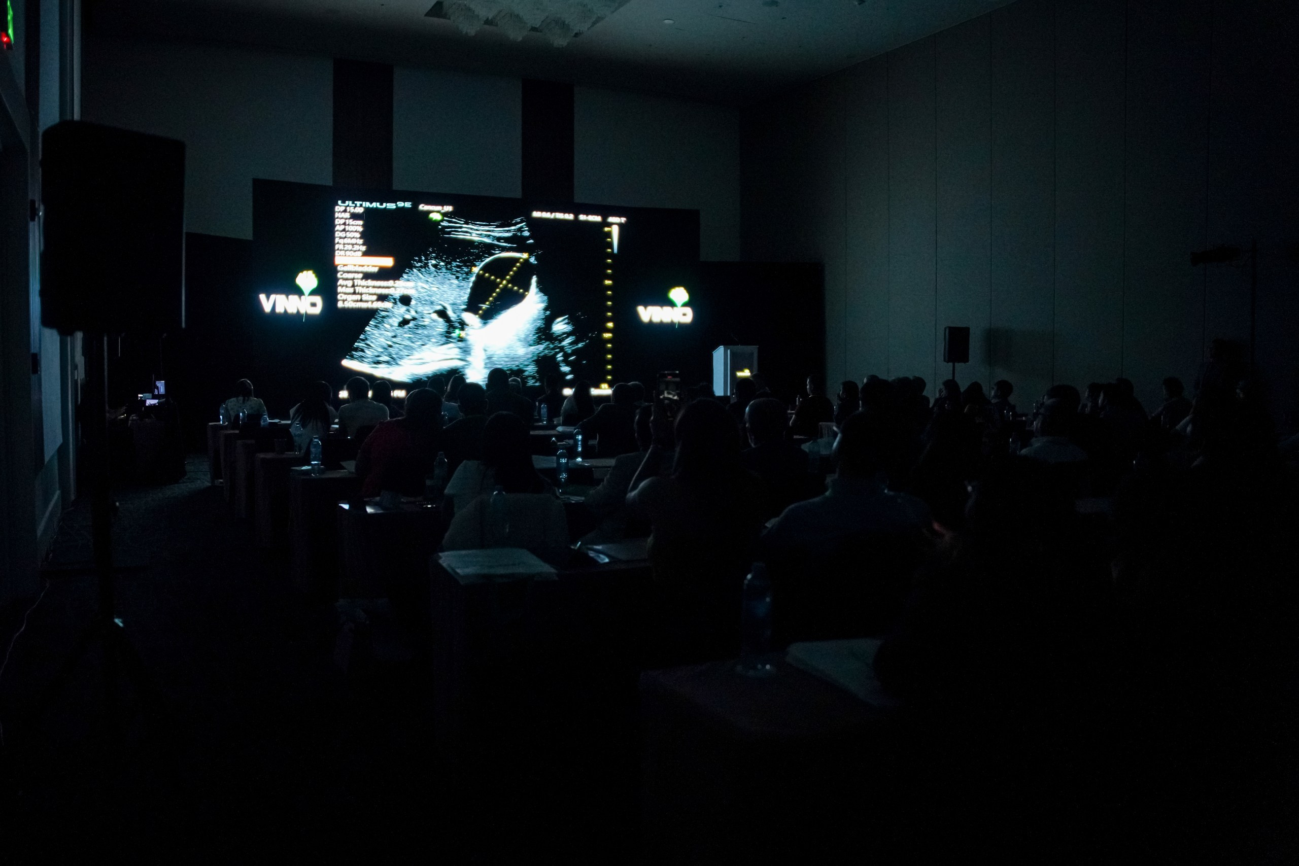 Business audience paying attention to a speaker during a formal event.