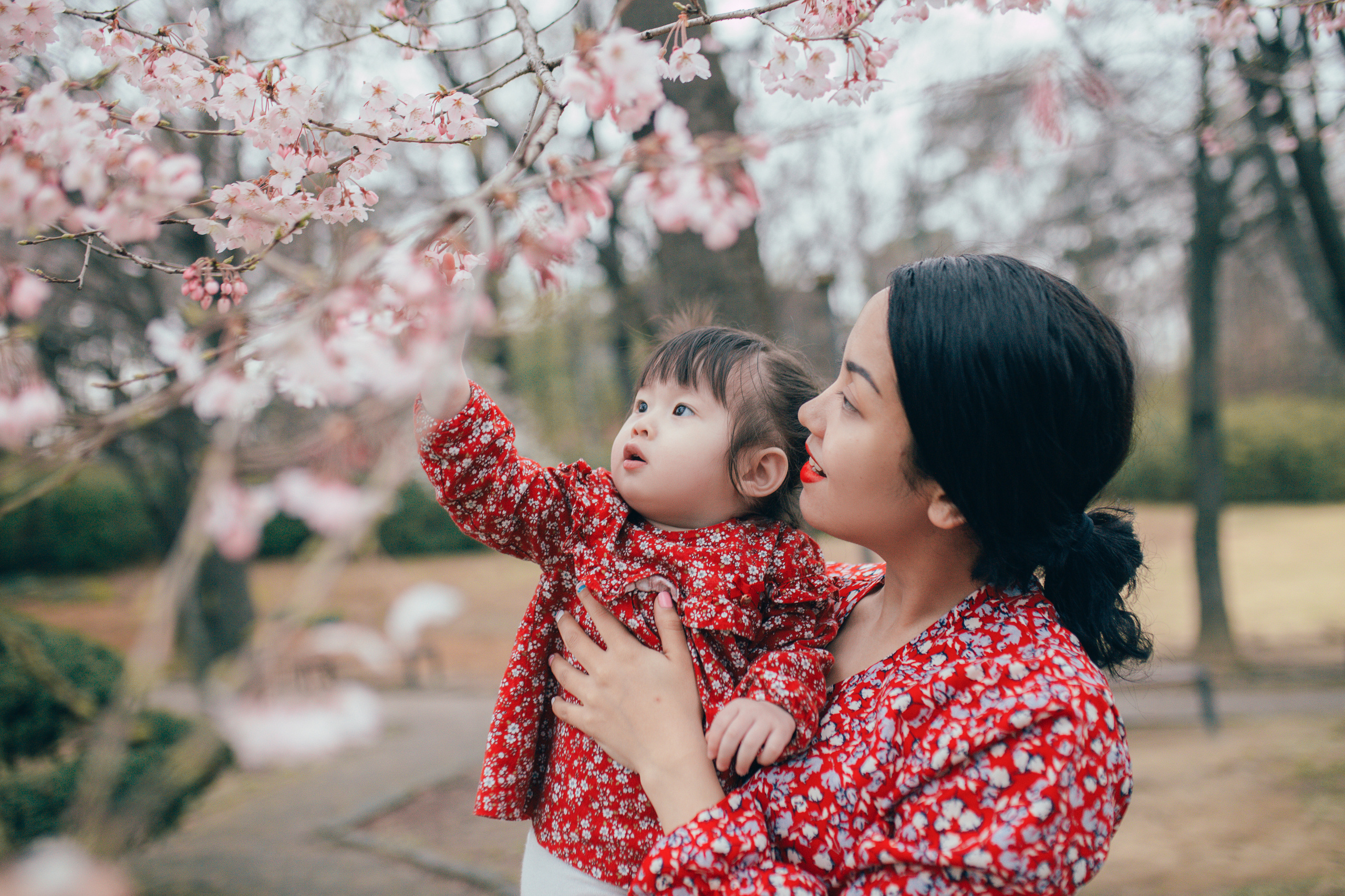 Cherry blossom. Portrait photographer in South Korea Olga Lian