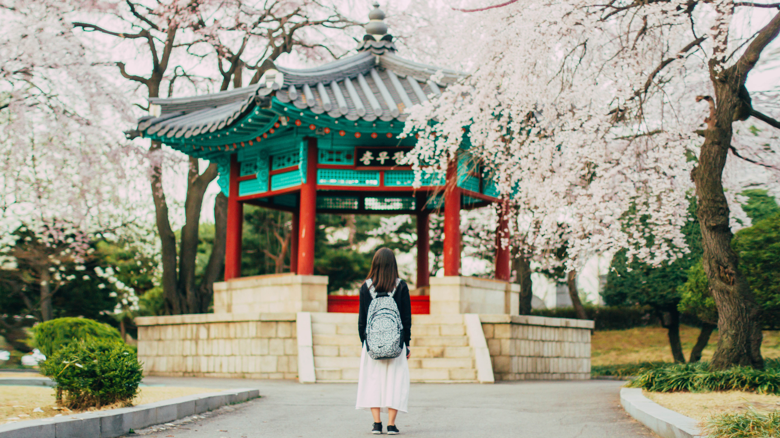 Cherry blossom. Portrait photographer in South Korea Olga Lian