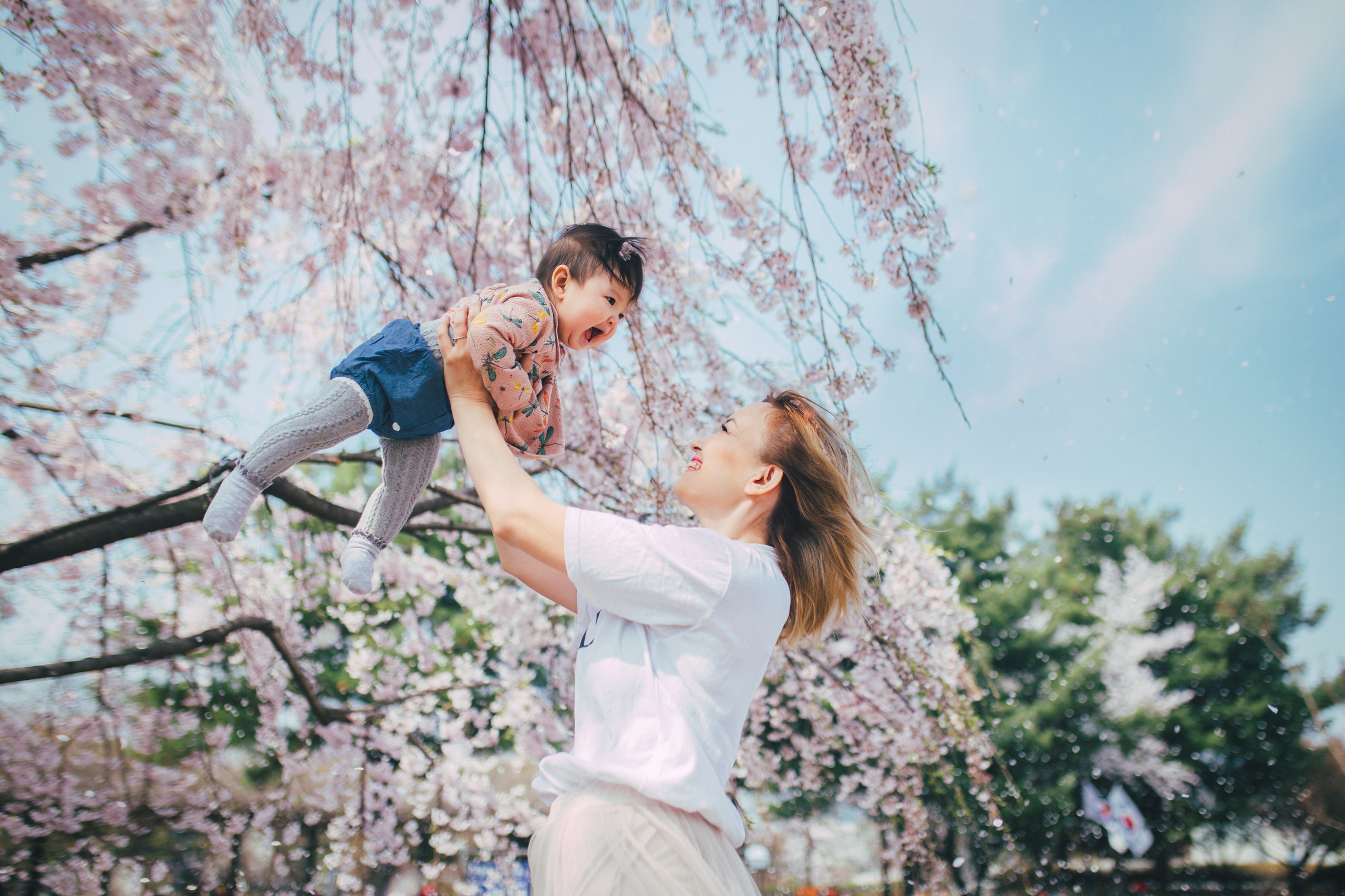 Cherry blossom. Portrait photographer in South Korea Olga Lian