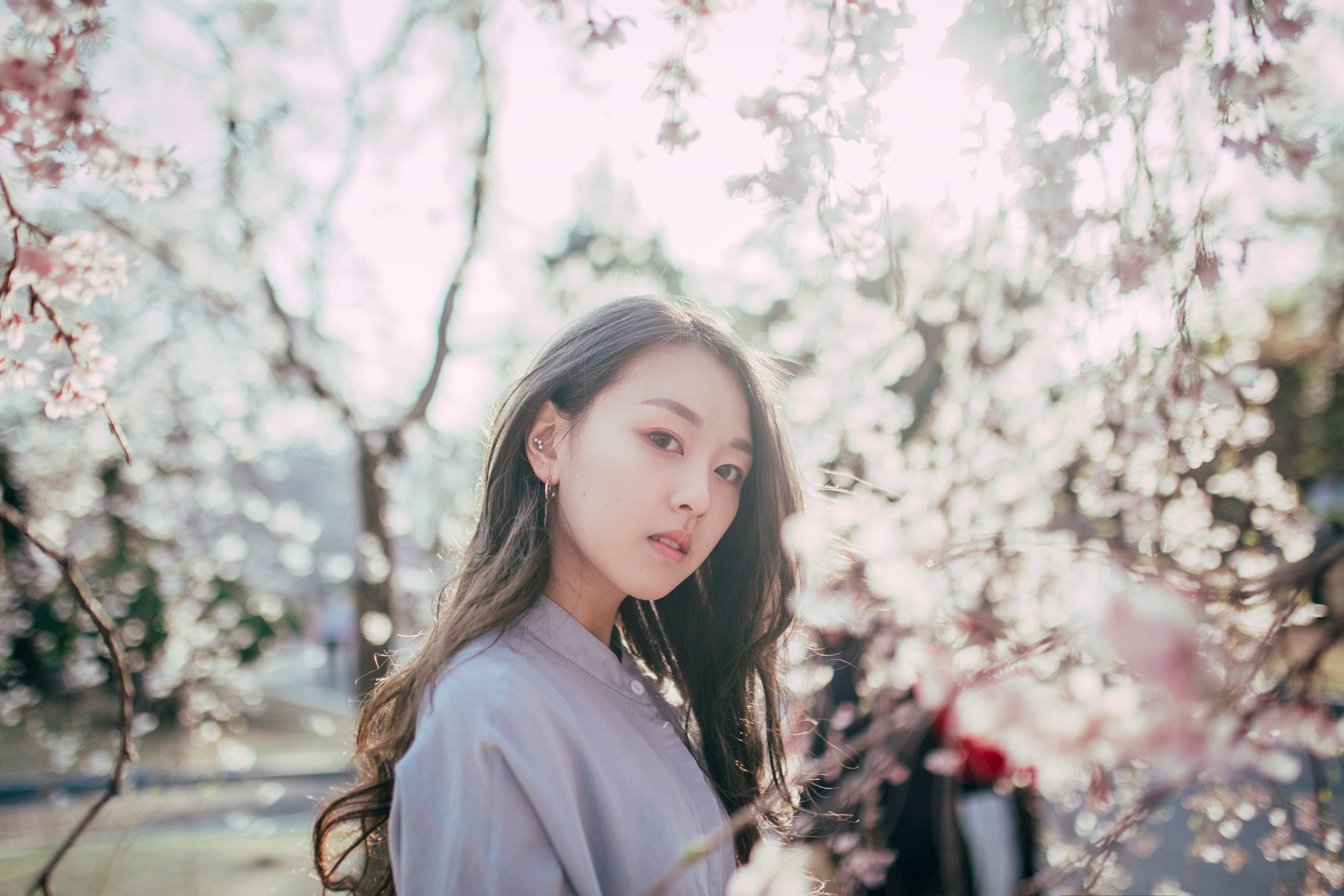 Cherry blossom. Portrait photographer in South Korea Olga Lian