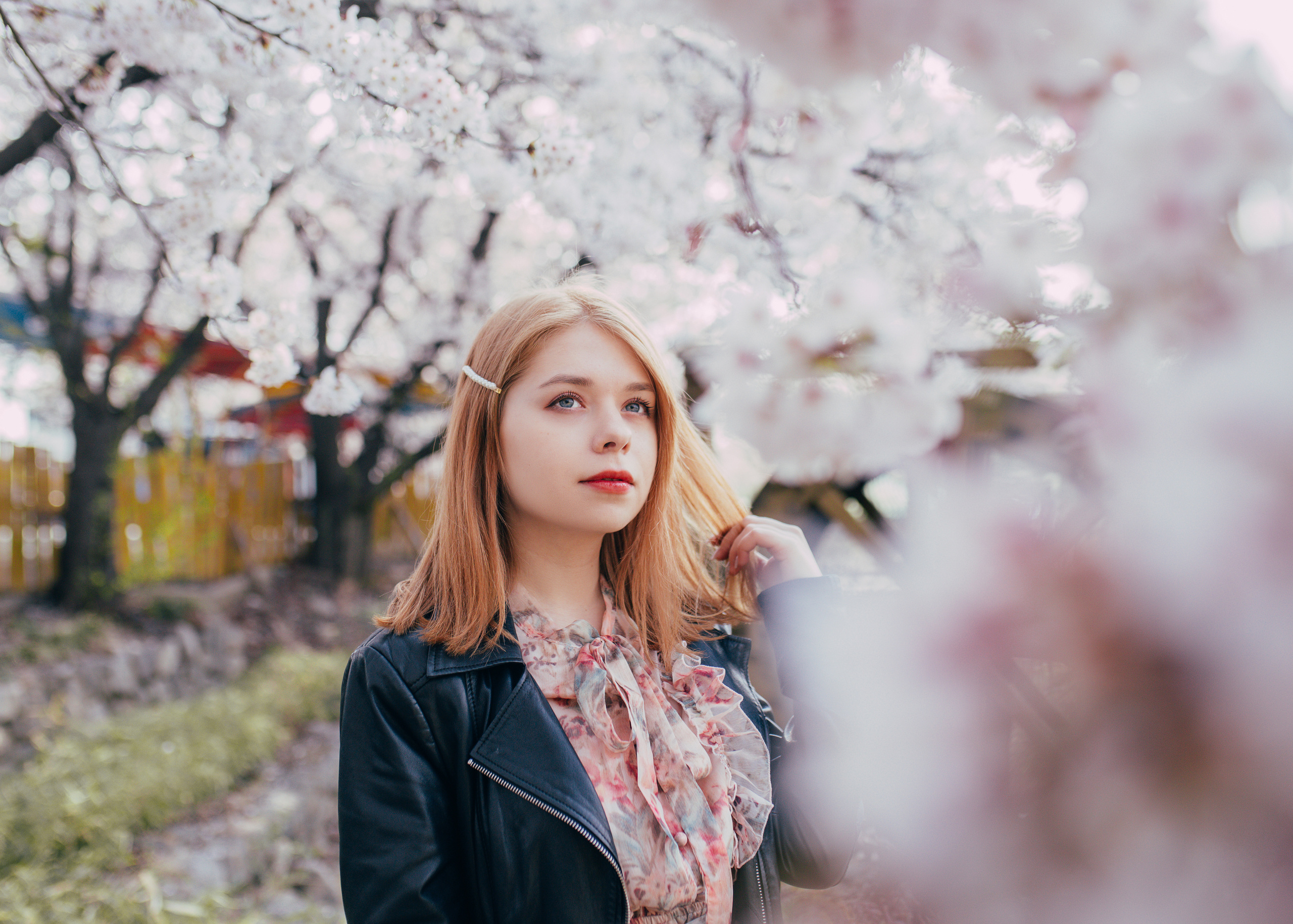 Cherry blossom. Portrait photographer in South Korea Olga Lian