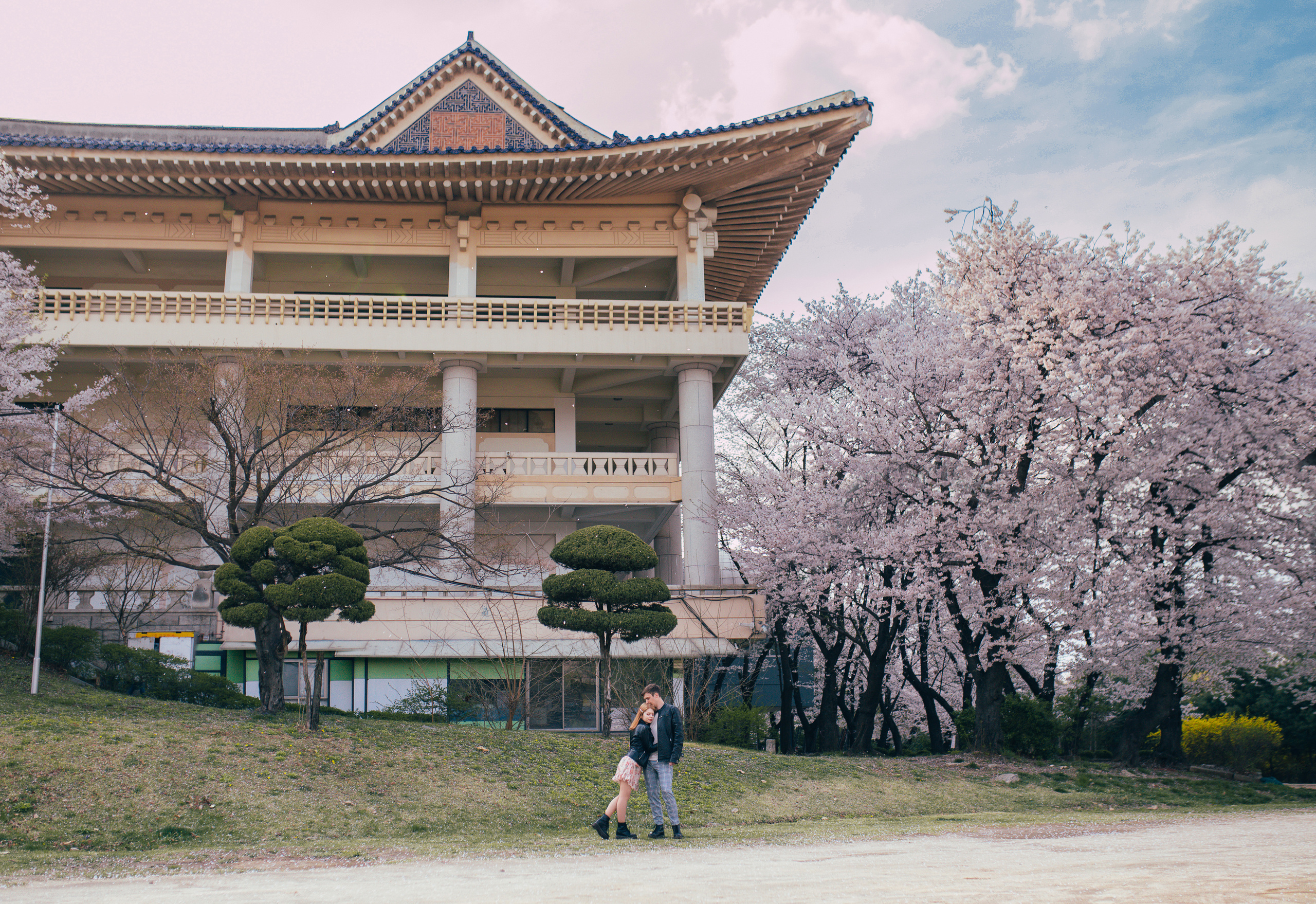 Cherry blossom. Portrait photographer in South Korea Olga Lian