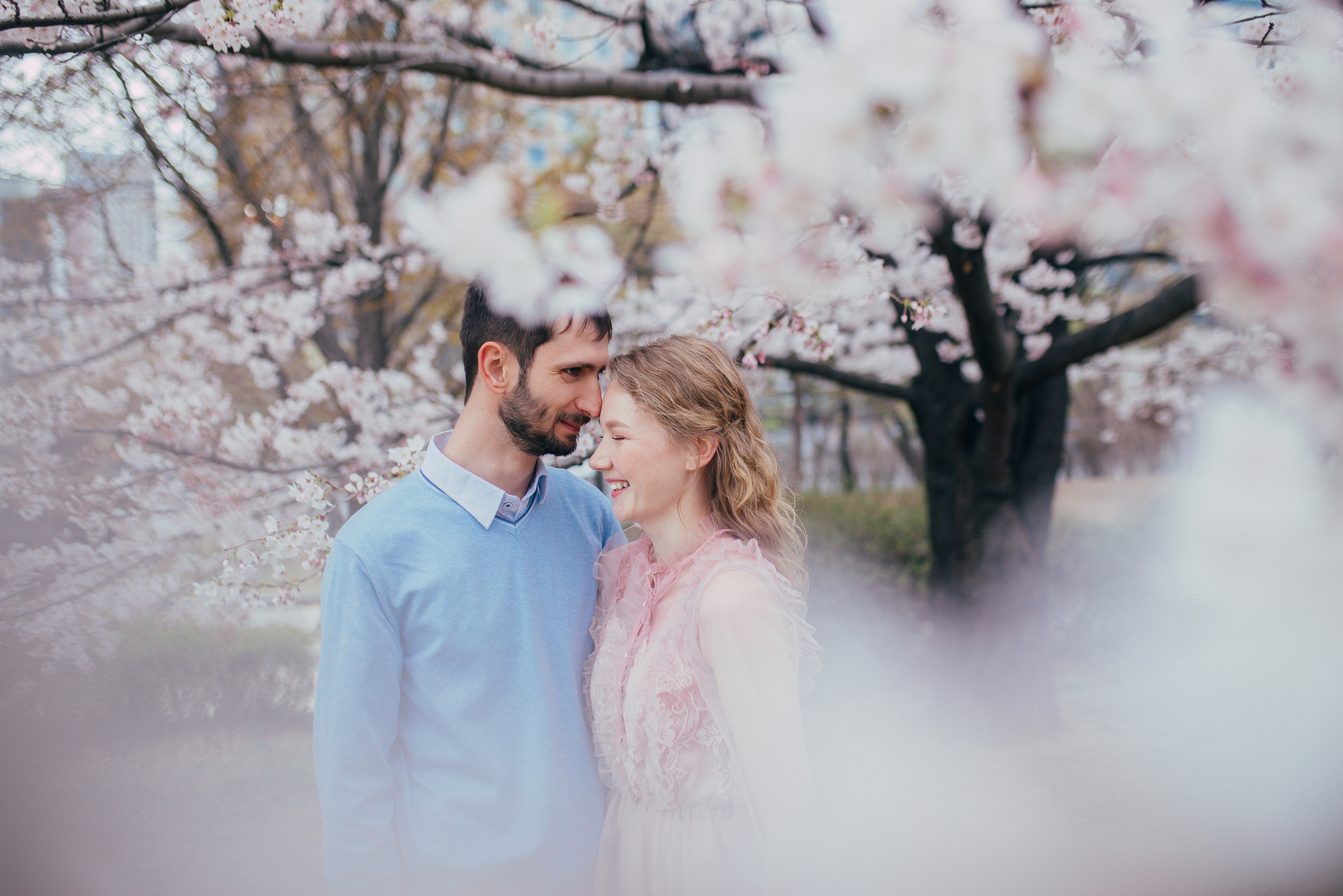 Cherry blossom. Portrait photographer in South Korea Olga Lian