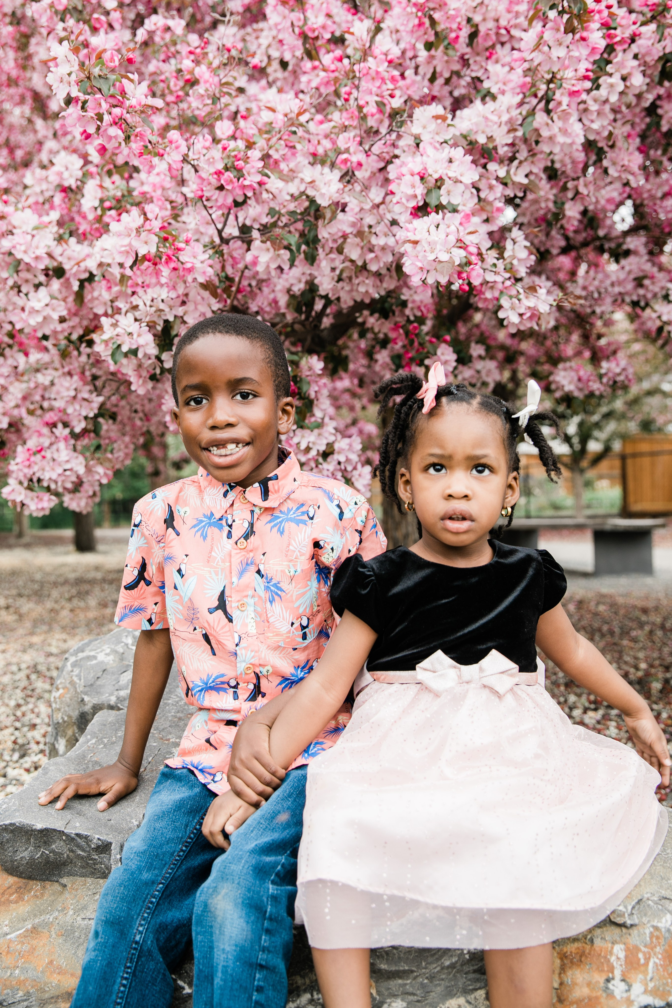 Cherry Blossom — Ester Family. Ching Li Photography