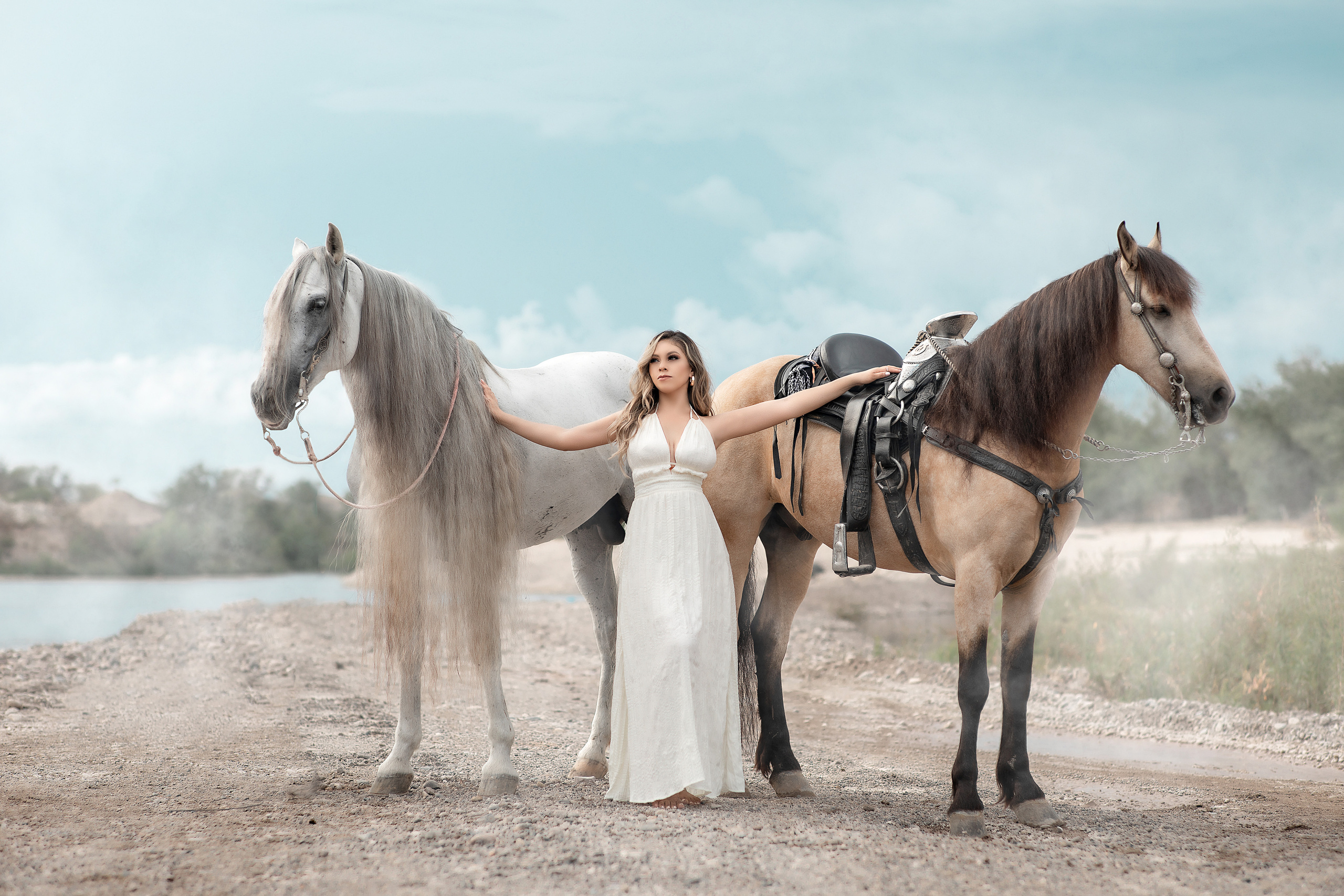 Fotos con caballos en Mazatlan