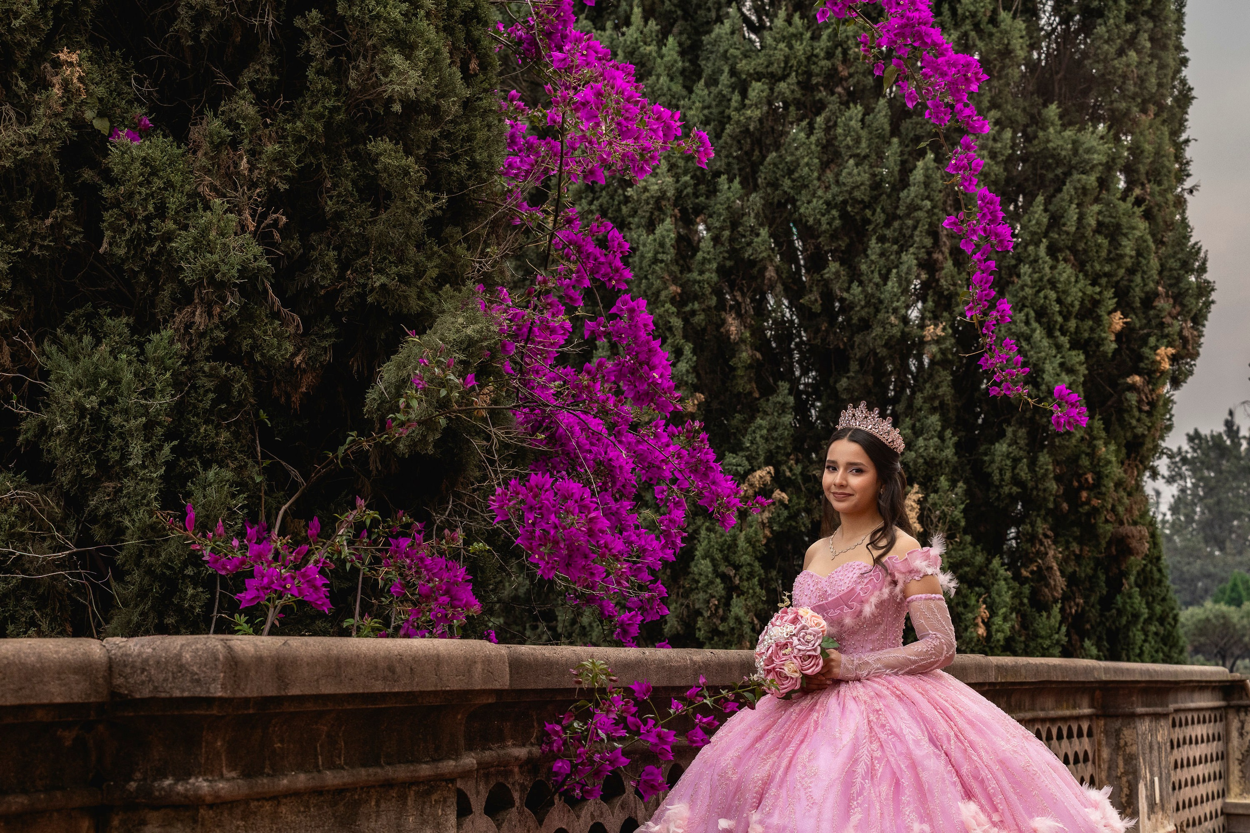 María Regina XV — Una noche escrita en sueños. Lg Fotografia