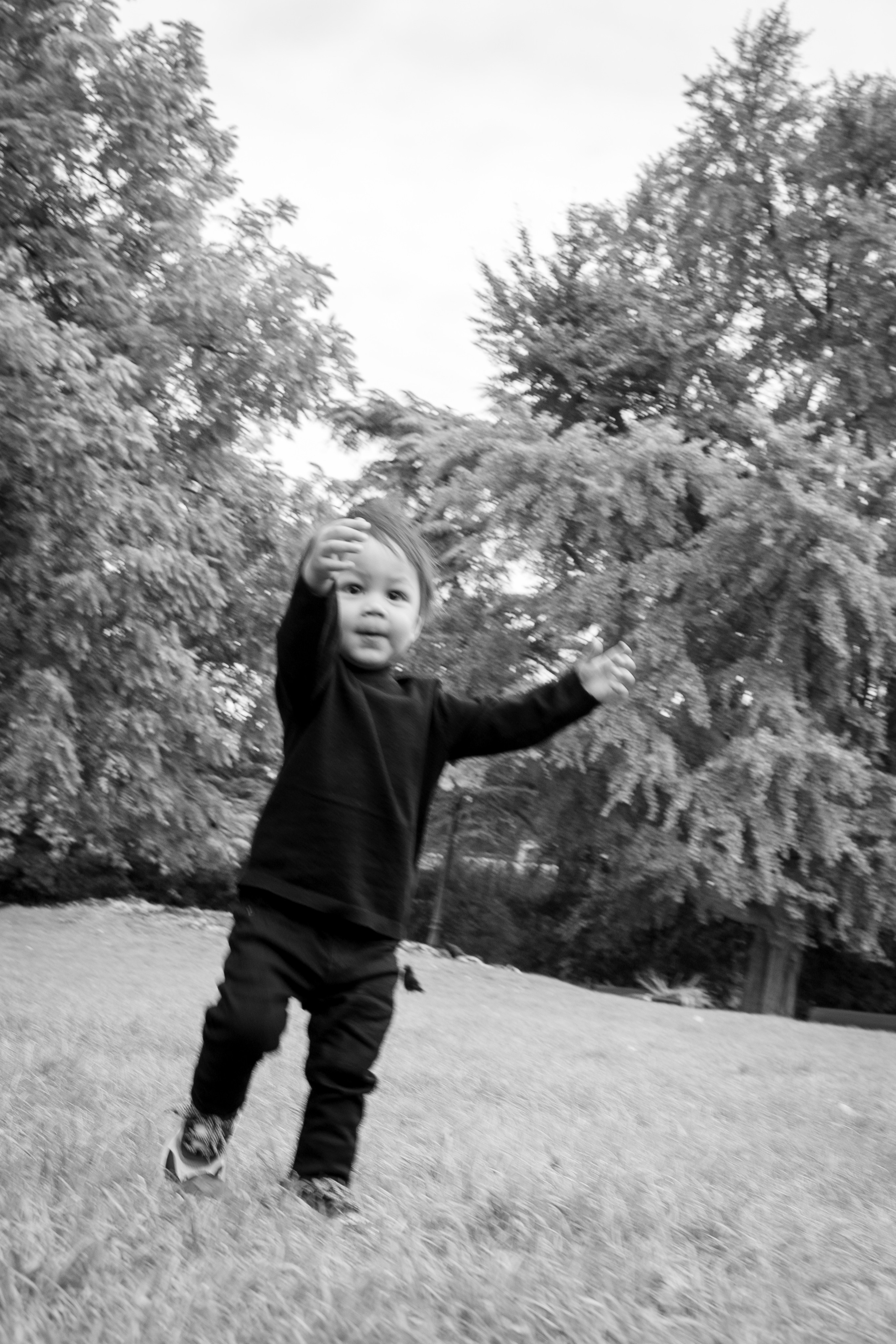 Creative Family Photographer