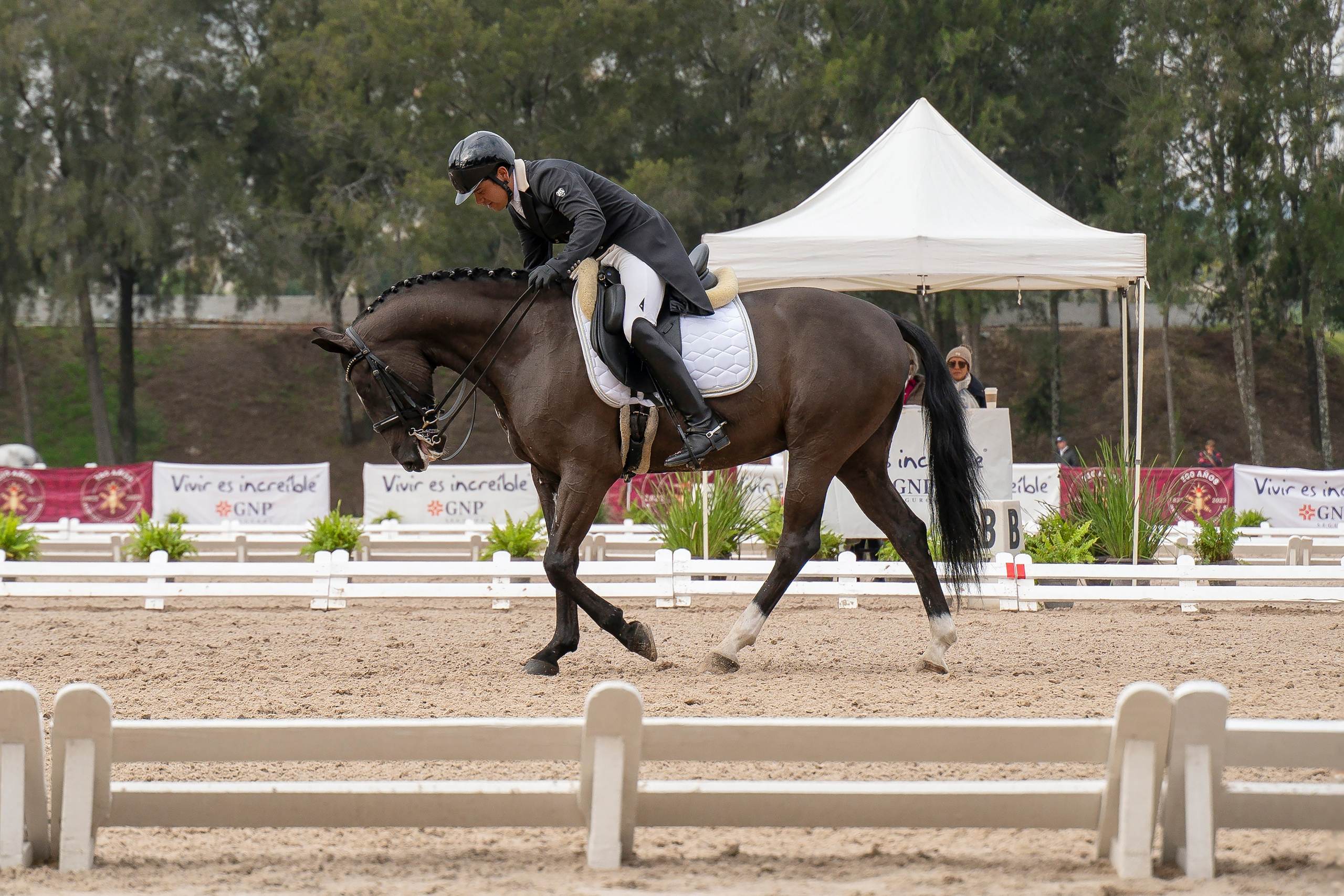 Vacation photoshoot in Mexico City. Capture your trip with a professional photographer. Horse riding dressage doma clasica show jumping Tour. Ekaterina Frolova photography