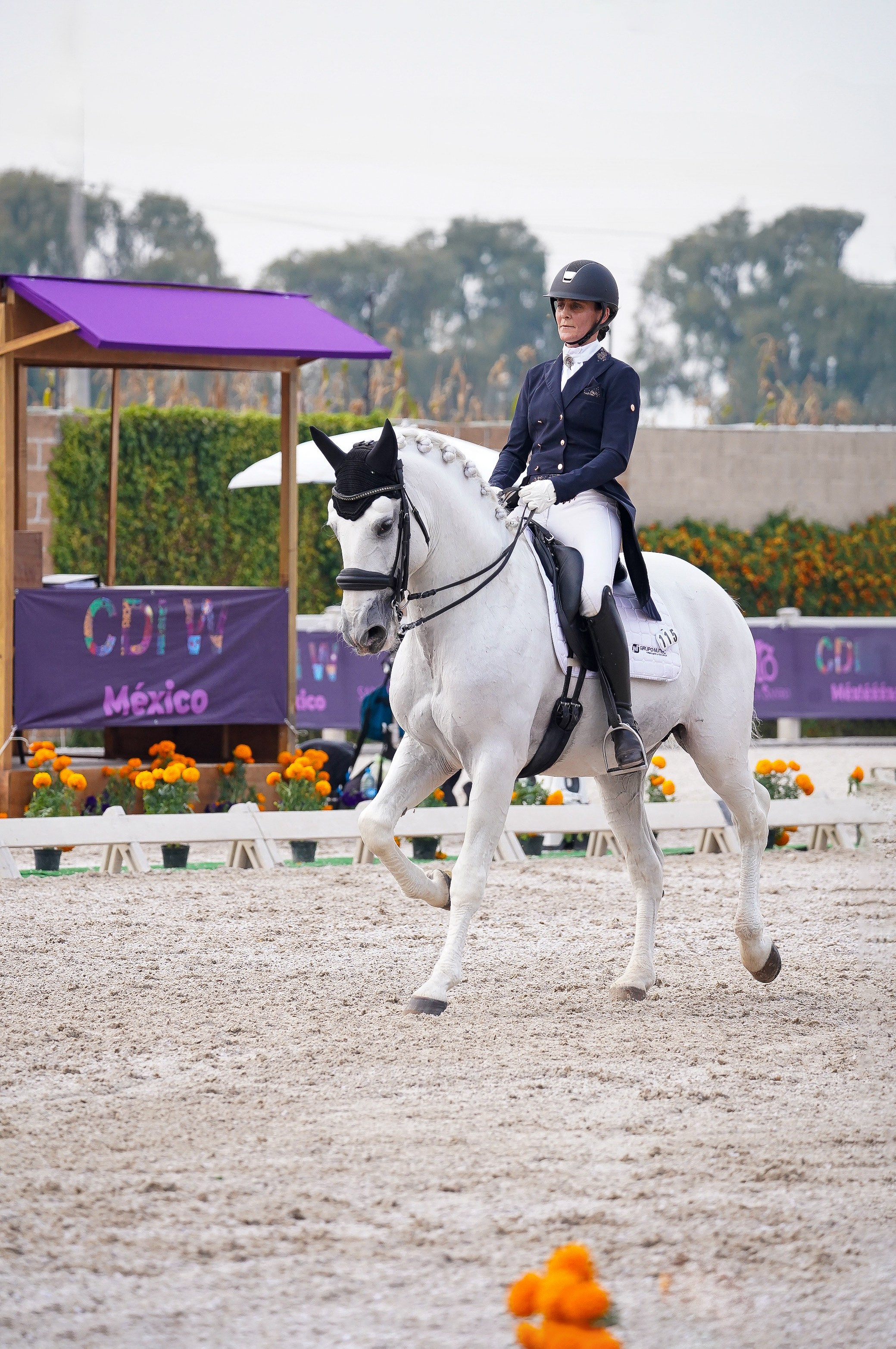 Vacation photoshoot in Mexico City. Capture your trip with a professional photographer. Horse riding dressage doma clasica show jumping Tour. Ekaterina Frolova photography