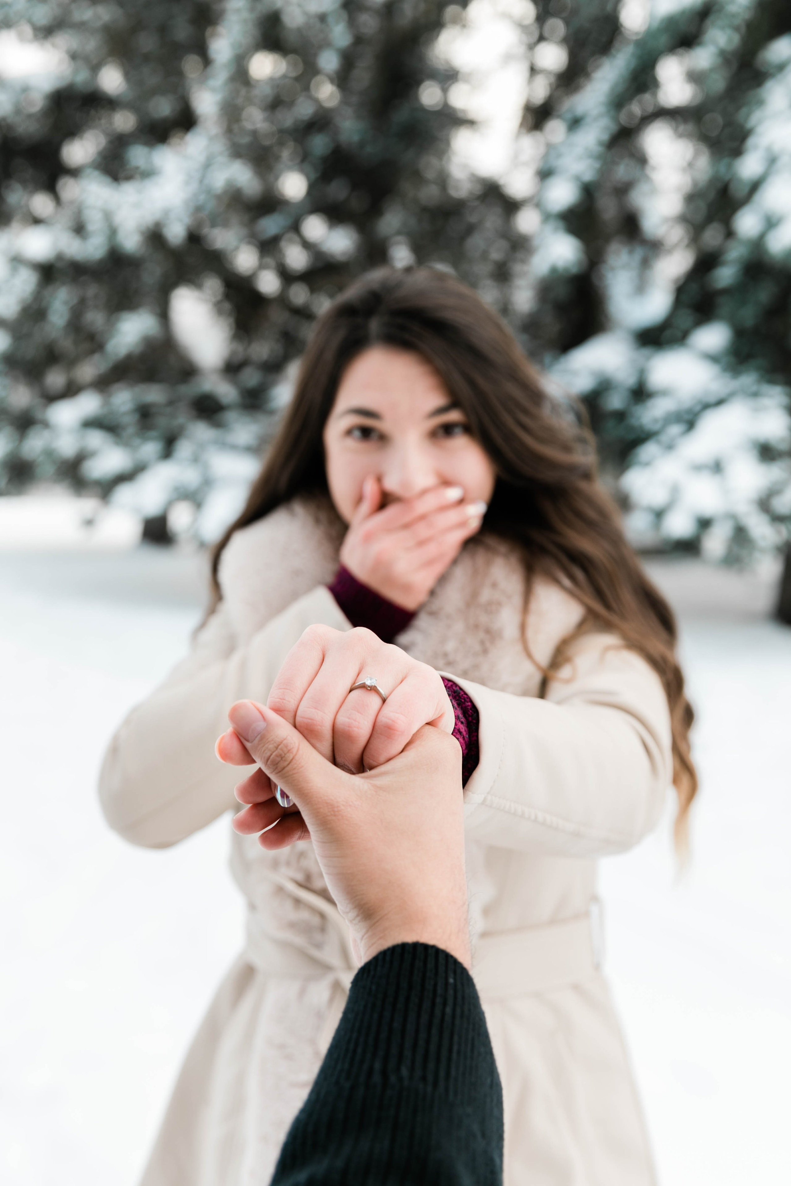 Ivan & Andrada Engagement Photos. Ching Li Photography