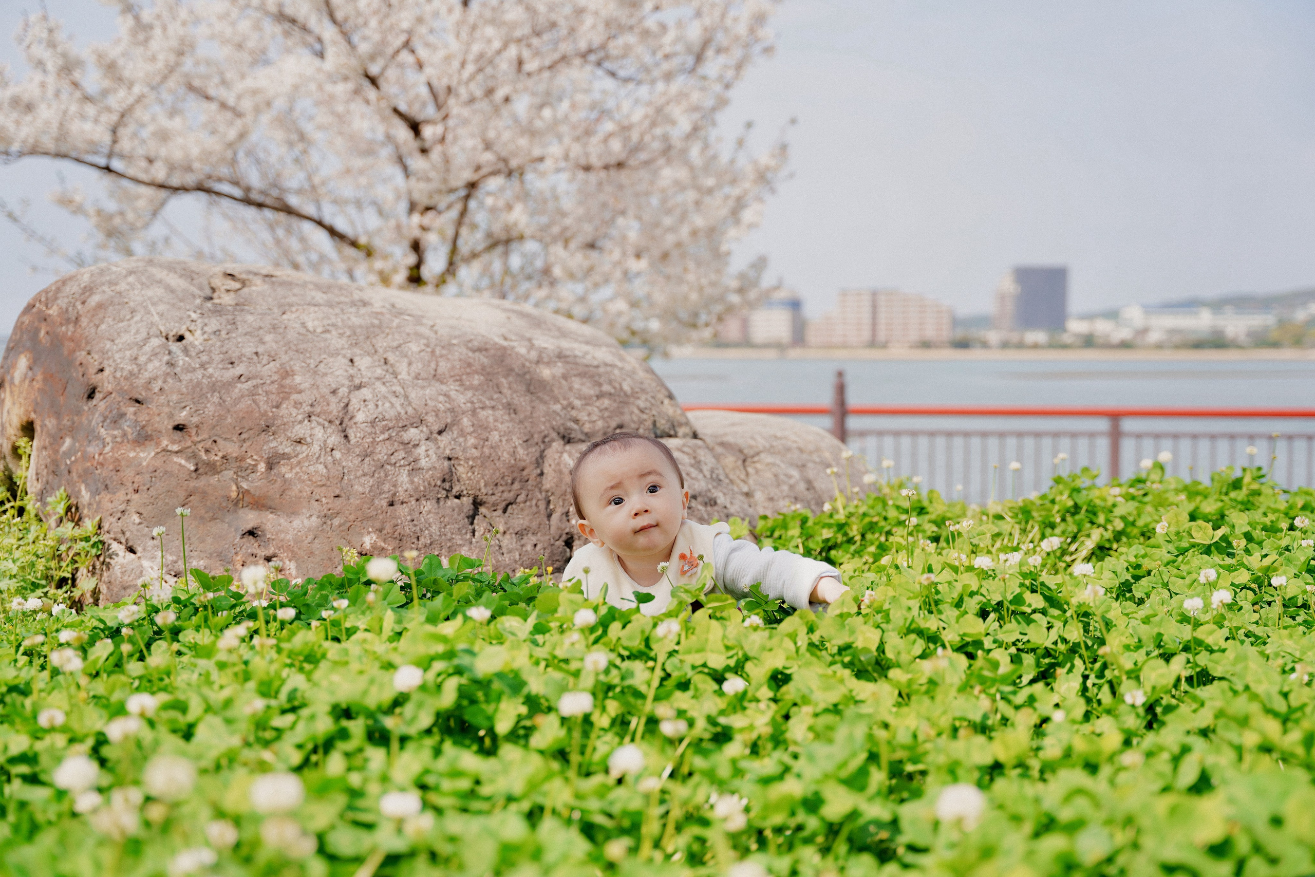 PORTFOLIO. Fukuoka Photographer | Alina Photography | Japan