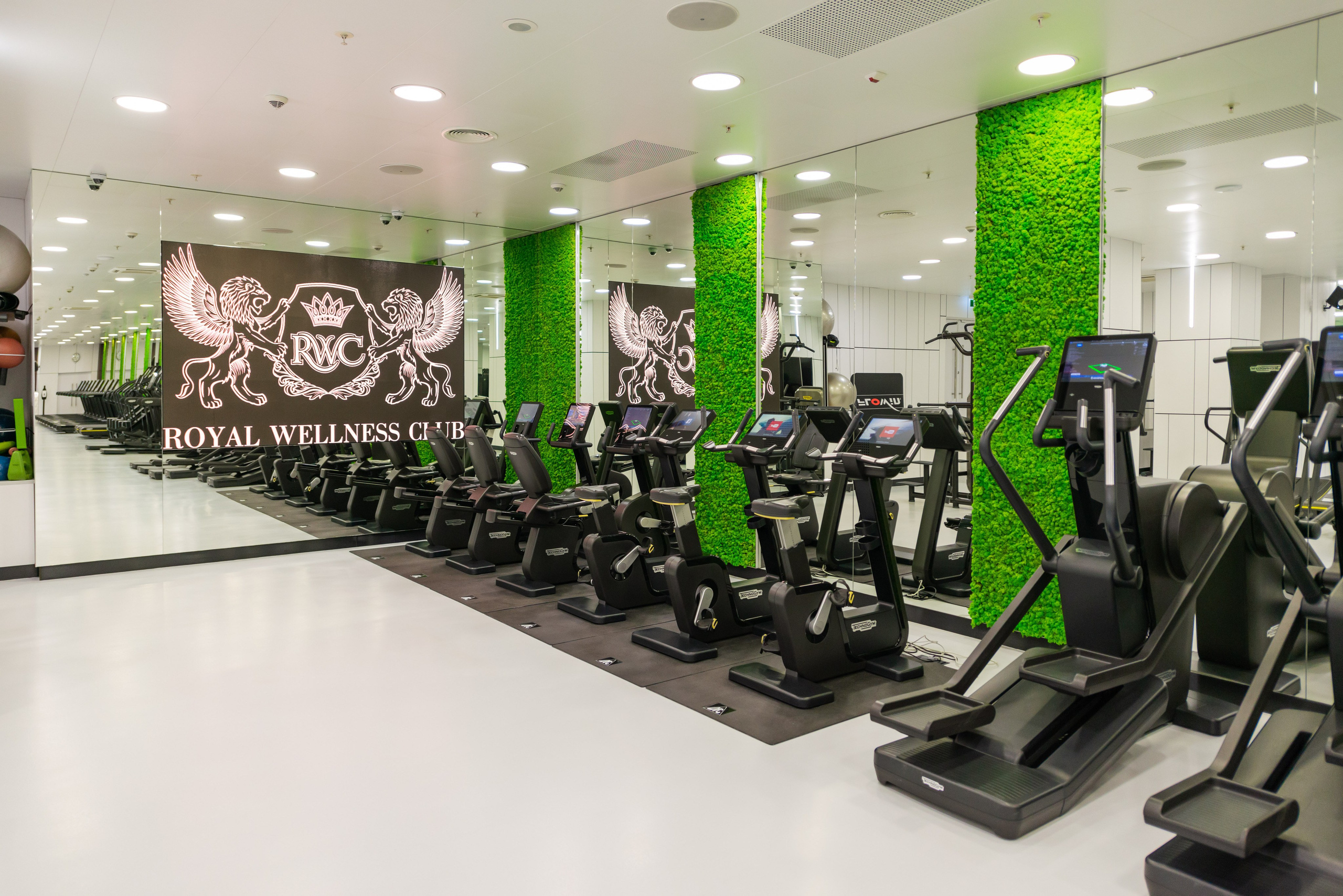 Fitness clubs. PHOTOGRAPHER QUINTANA ROO