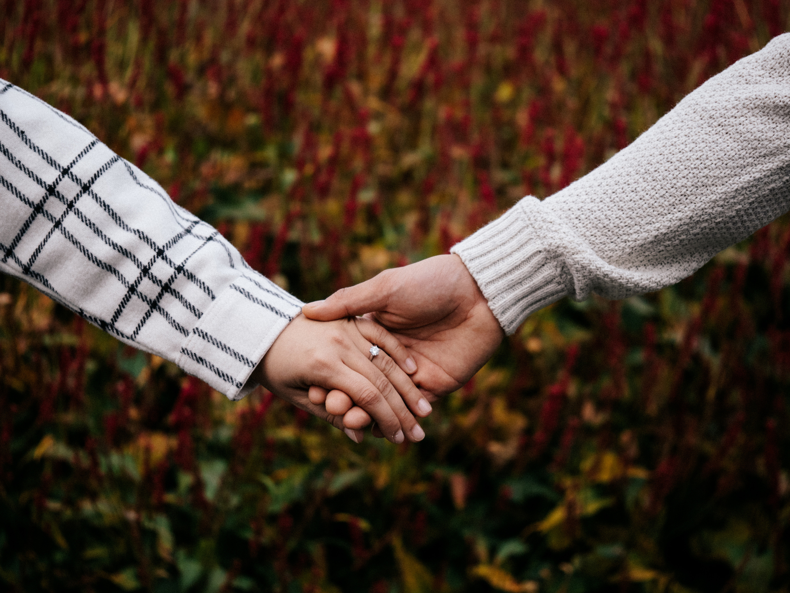 Couple Photography Montreal. Montreal Wedding Photographer — Muriel Oe Photo