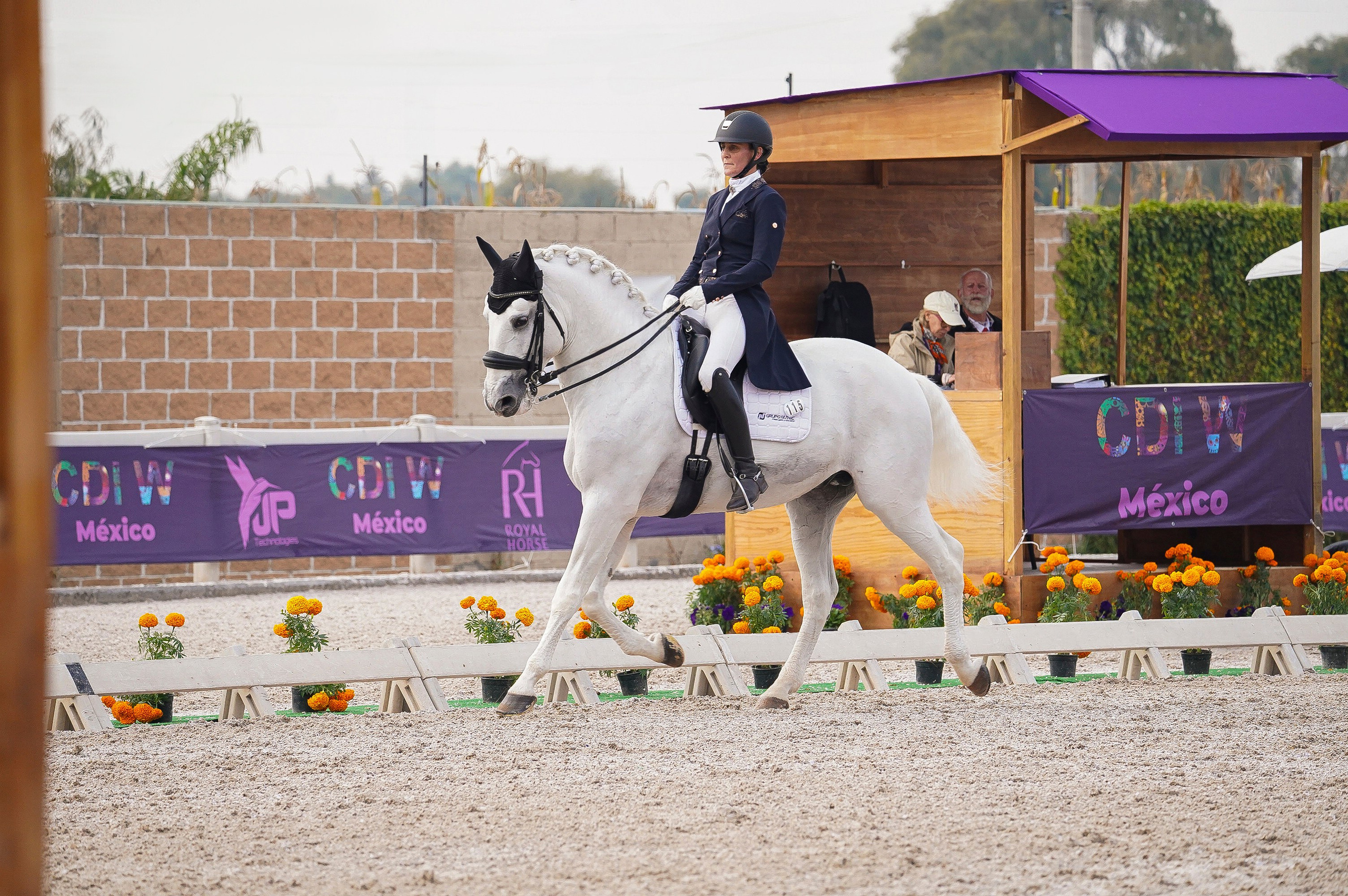 Vacation photoshoot in Mexico City. Capture your trip with a professional photographer. Horse riding dressage doma clasica show jumping Tour. Ekaterina Frolova photography