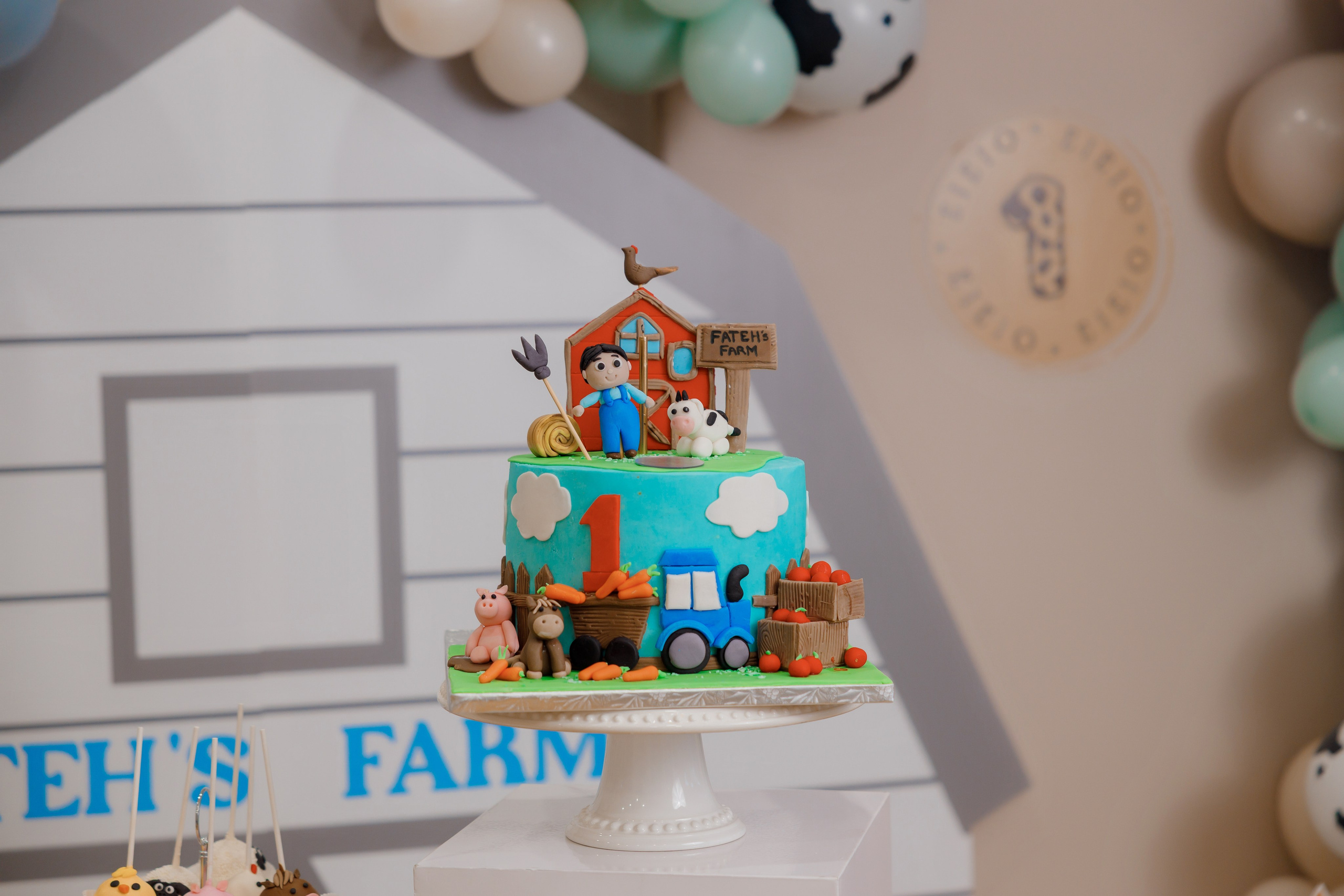 Fateh’s 1st birthday. Photographer Elvira Hryshchenko