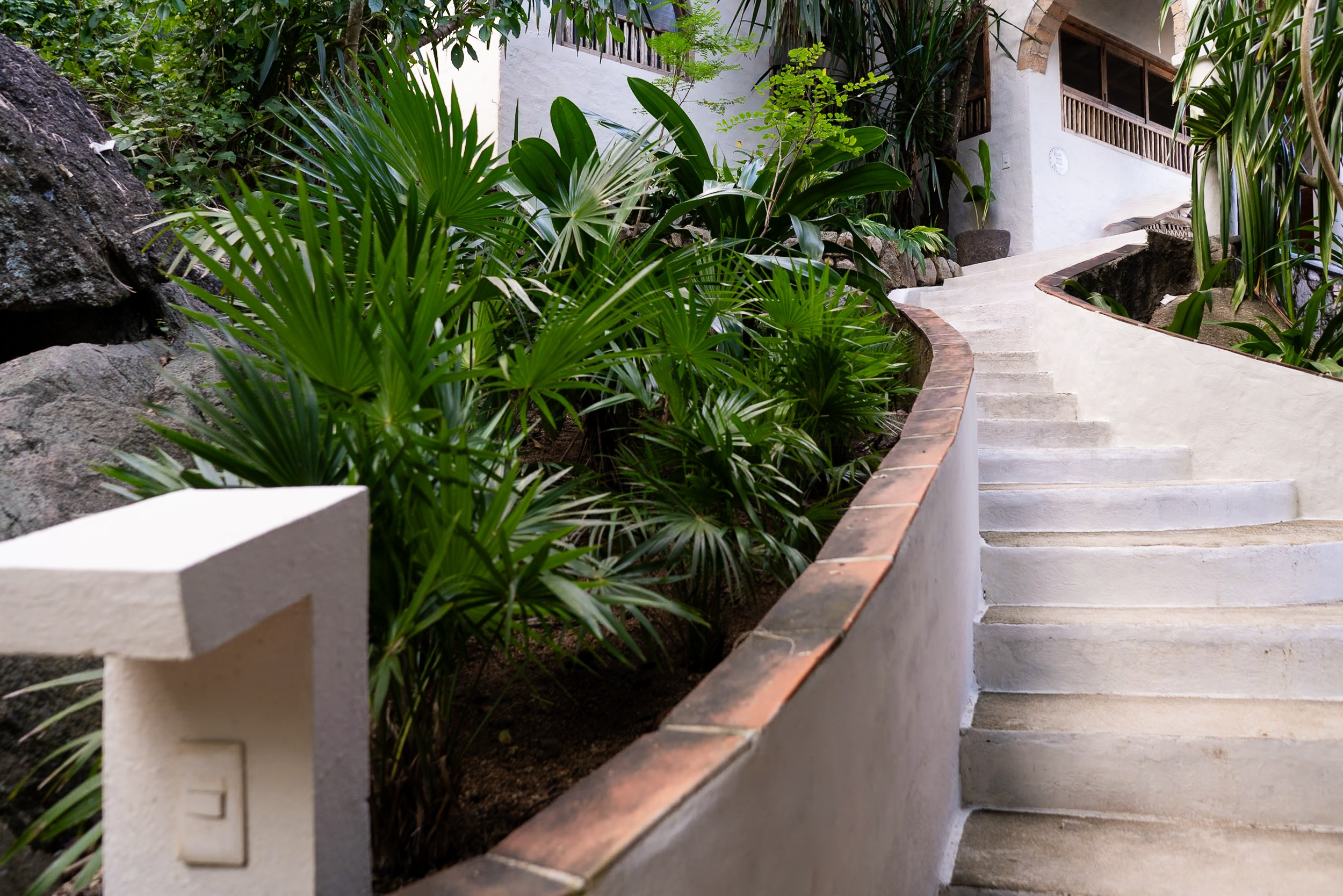 Aggie & Brian. Fotografía de Bodas Profesionales en Puerto Vallarta y Riviera Nayarit