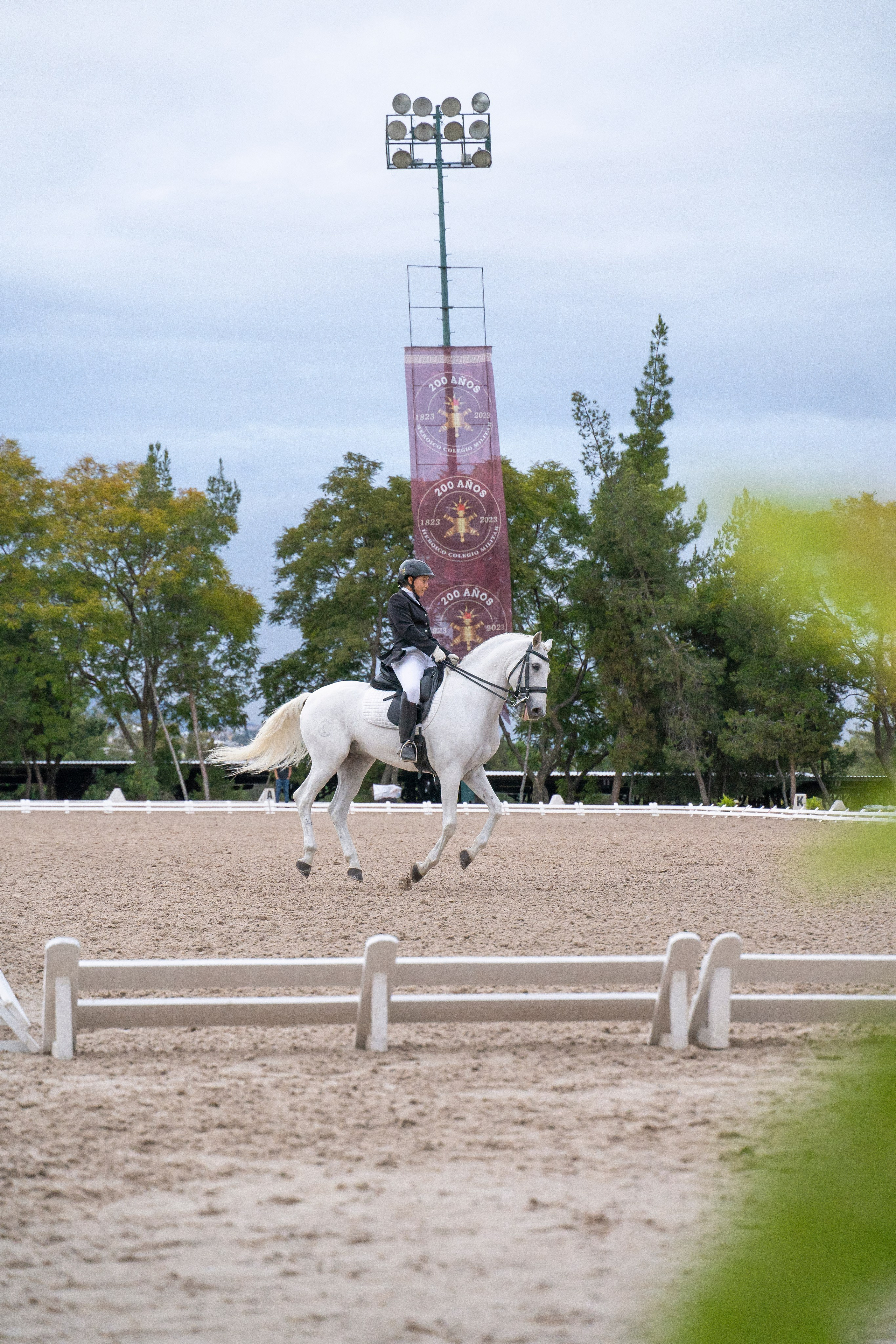 Vacation photoshoot in Mexico City. Capture your trip with a professional photographer. Horse riding dressage doma clasica show jumping Tour. Ekaterina Frolova photography