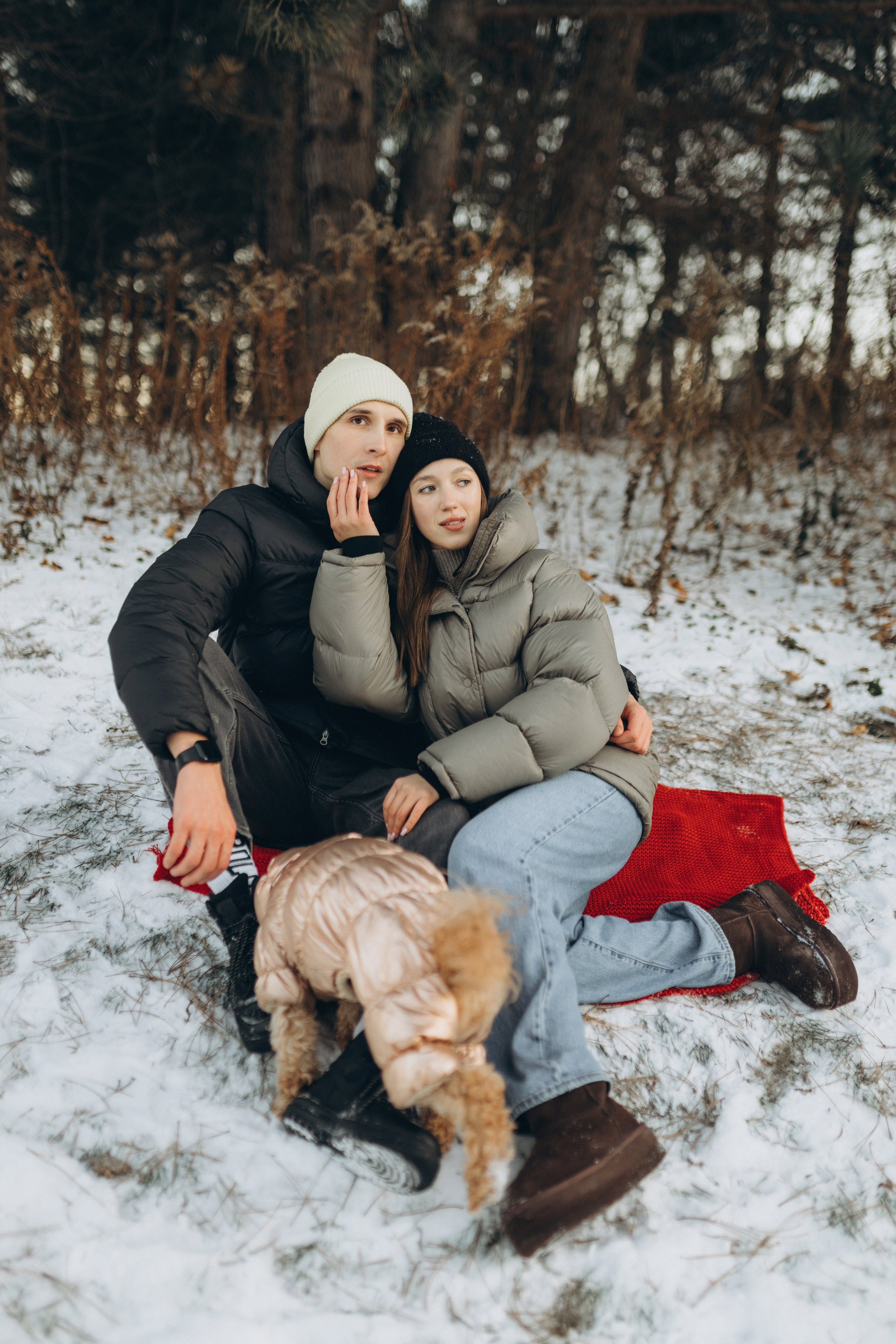 Winter magic. Chernenko.photography
