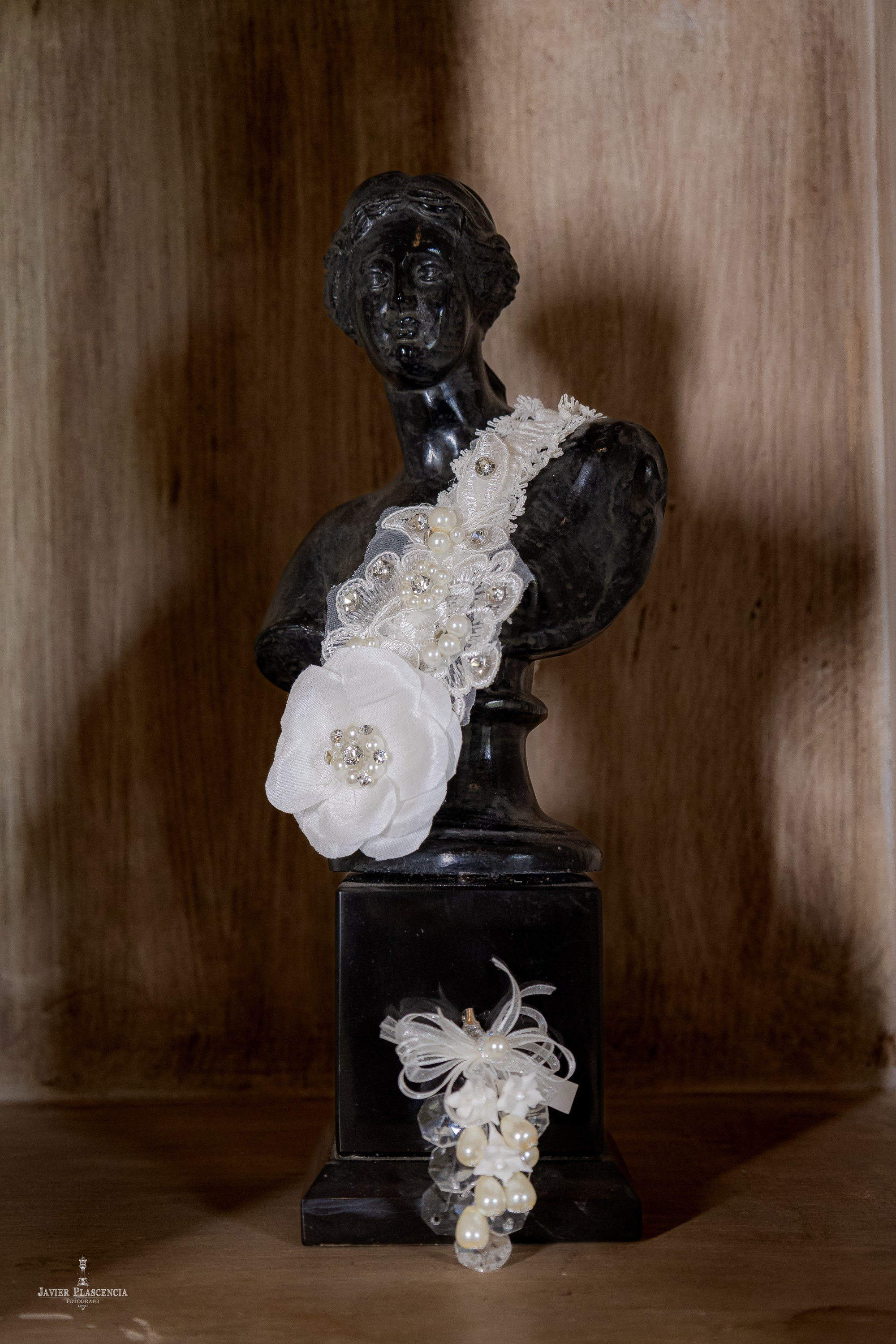 Alondra y Alex. Javier Plascencia Fotografo de Bodas en México