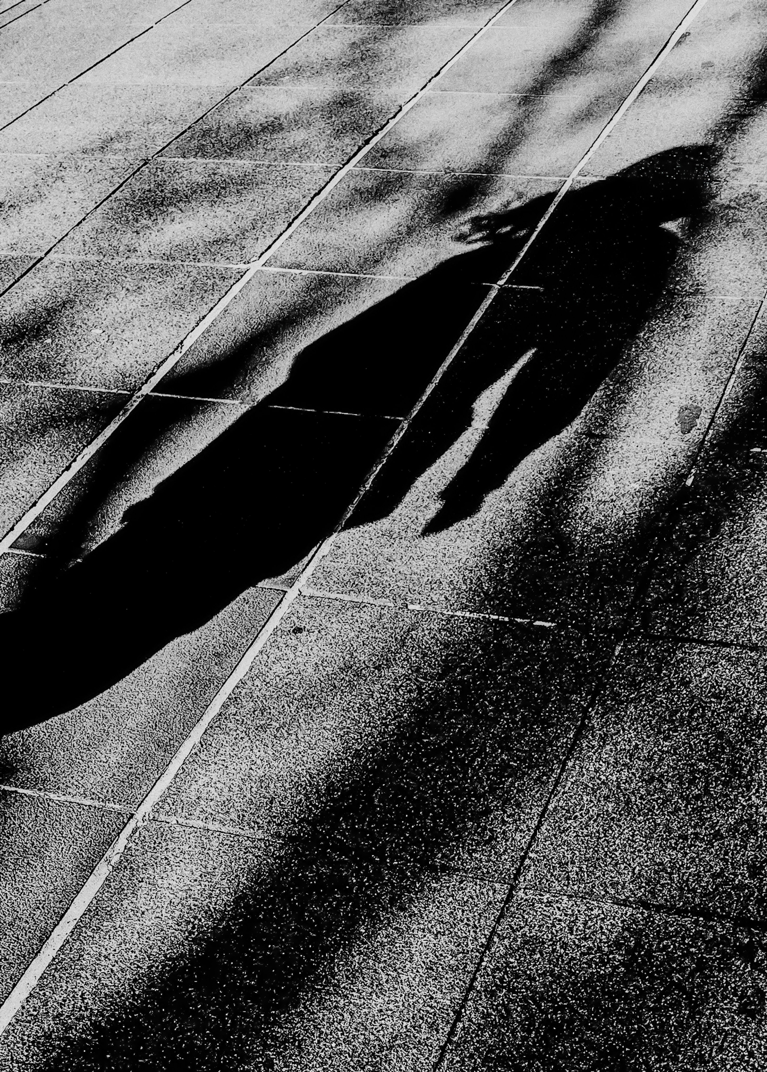 Selected Works — Taeyoung Kang | SIGANFRAME