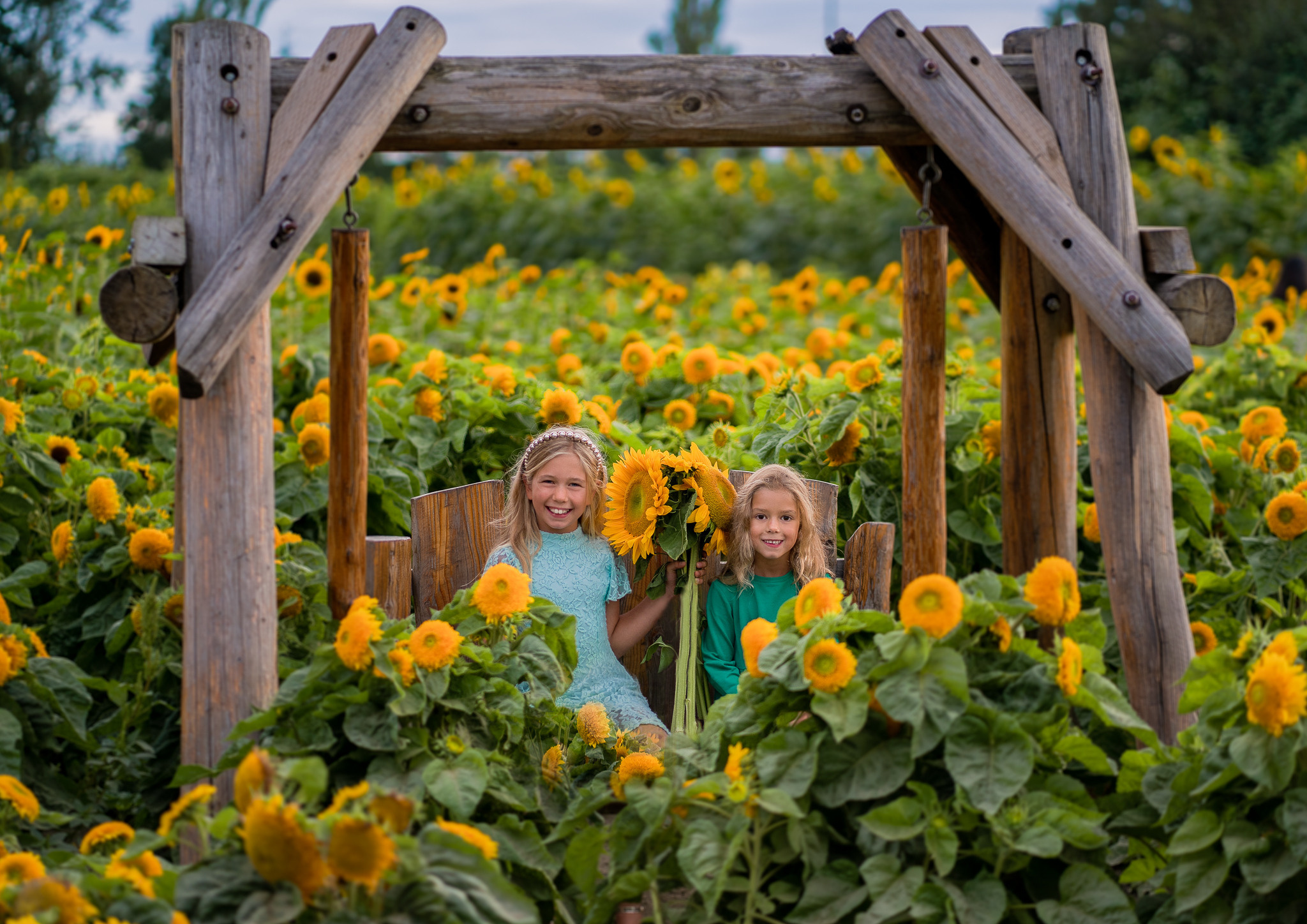 Sunflowers. Vancouver Kids Photographer