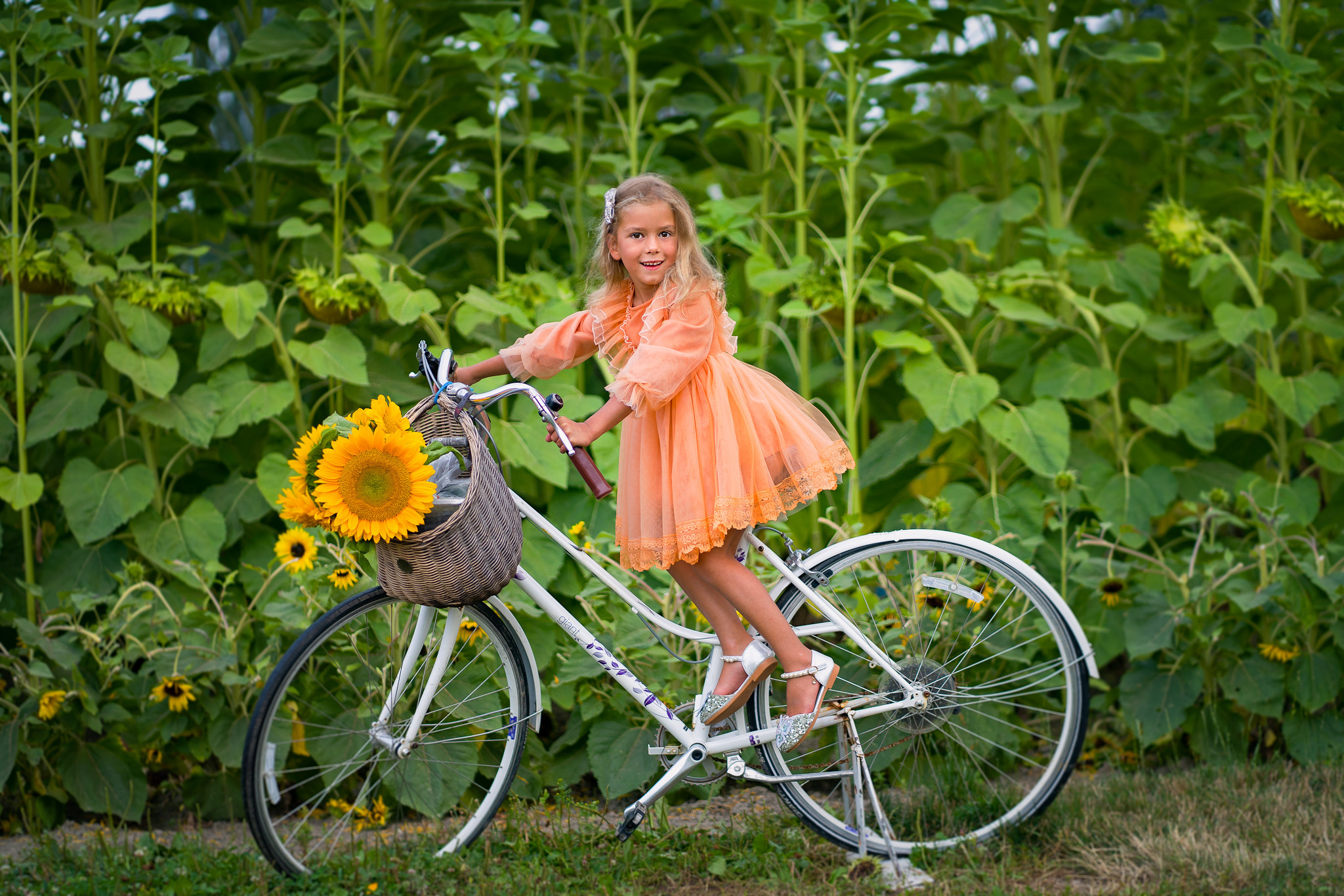 Sunflowers. Vancouver Kids Photographer