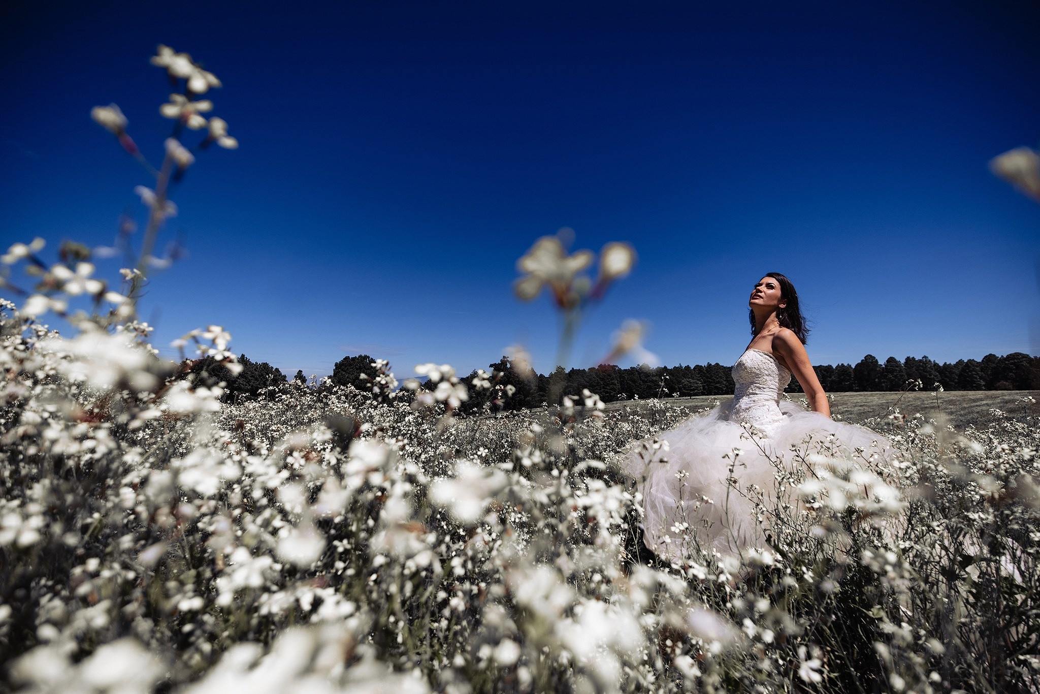 Jorge Romero Fotógrafo de bodas