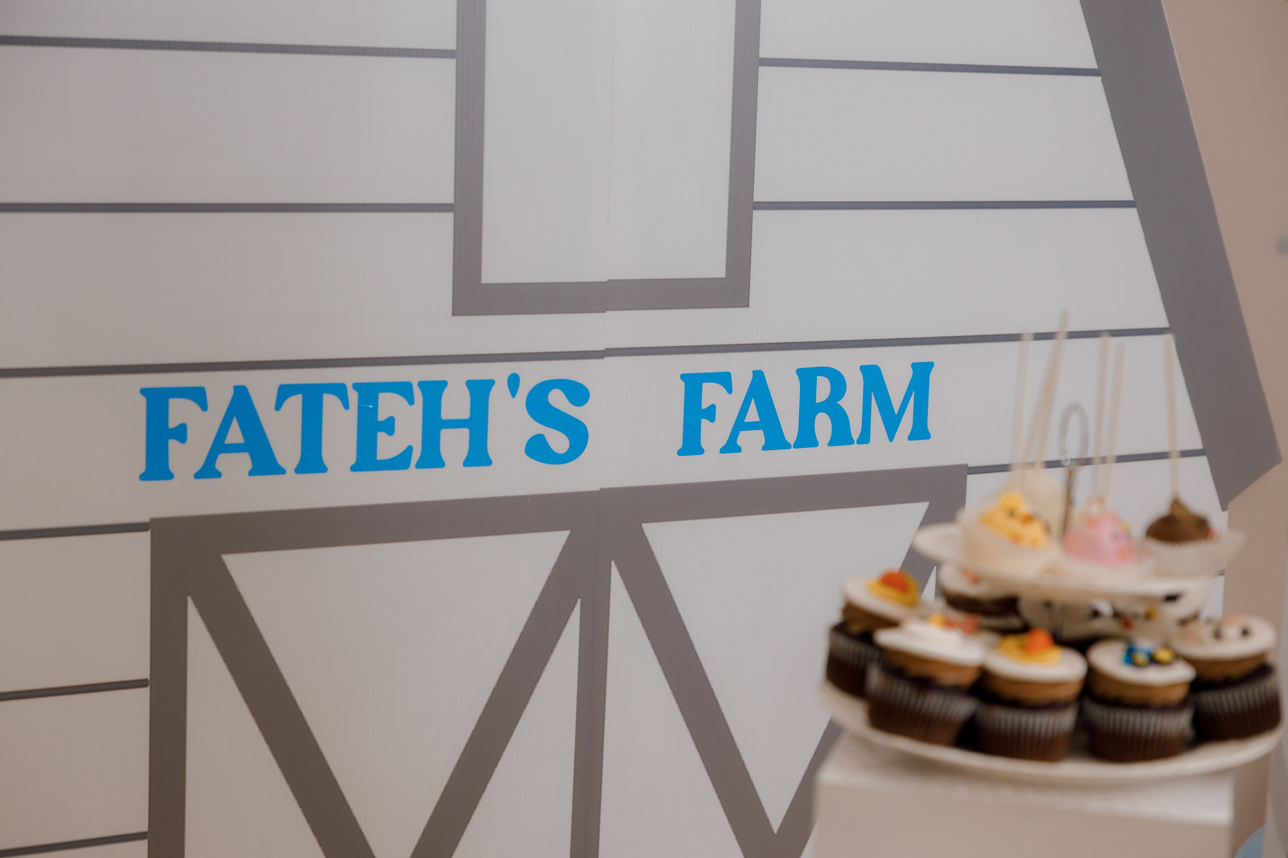 Fateh’s 1st birthday. Photographer Elvira Hryshchenko