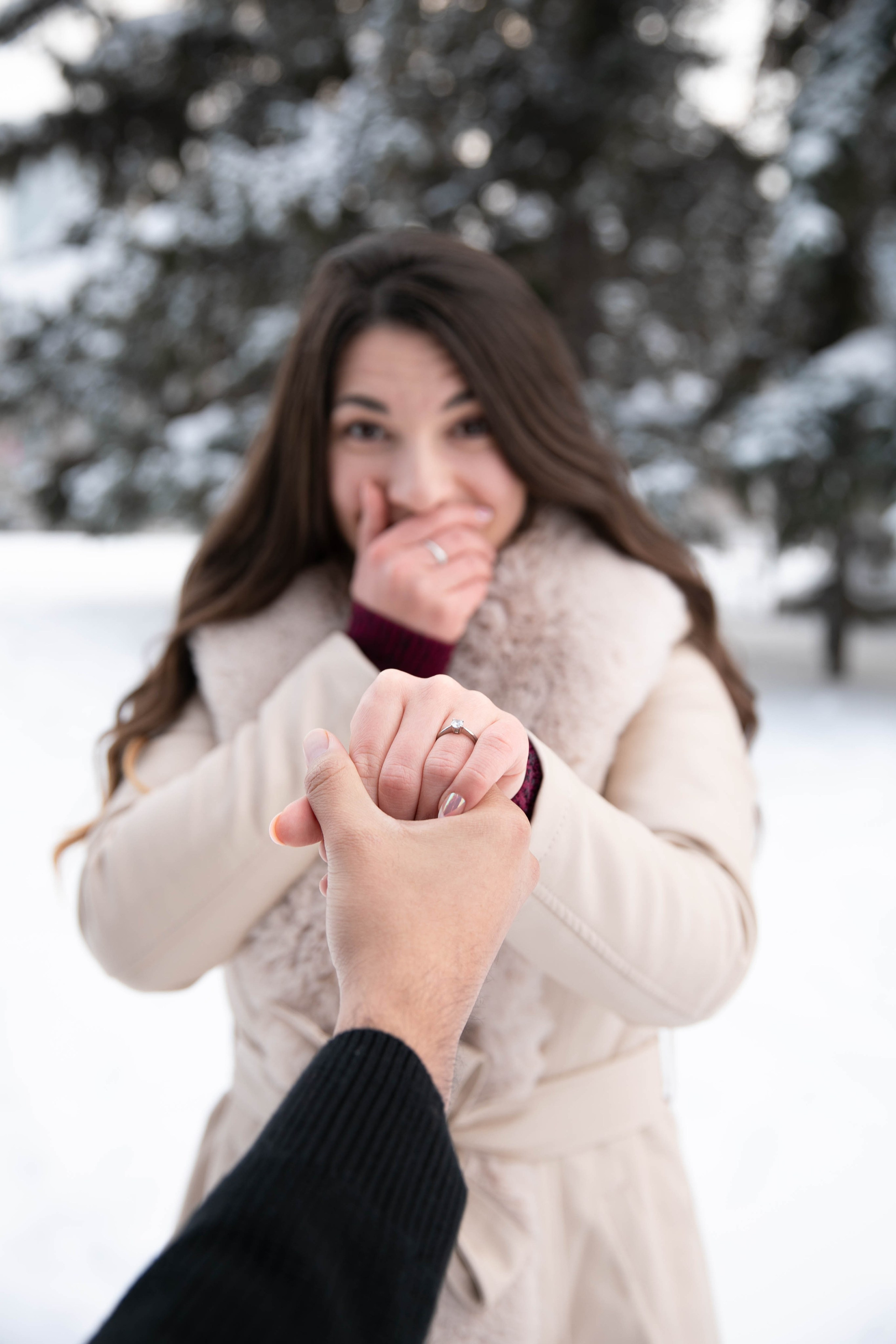 Ivan & Andrada Engagement Photos. Ching Li Photography