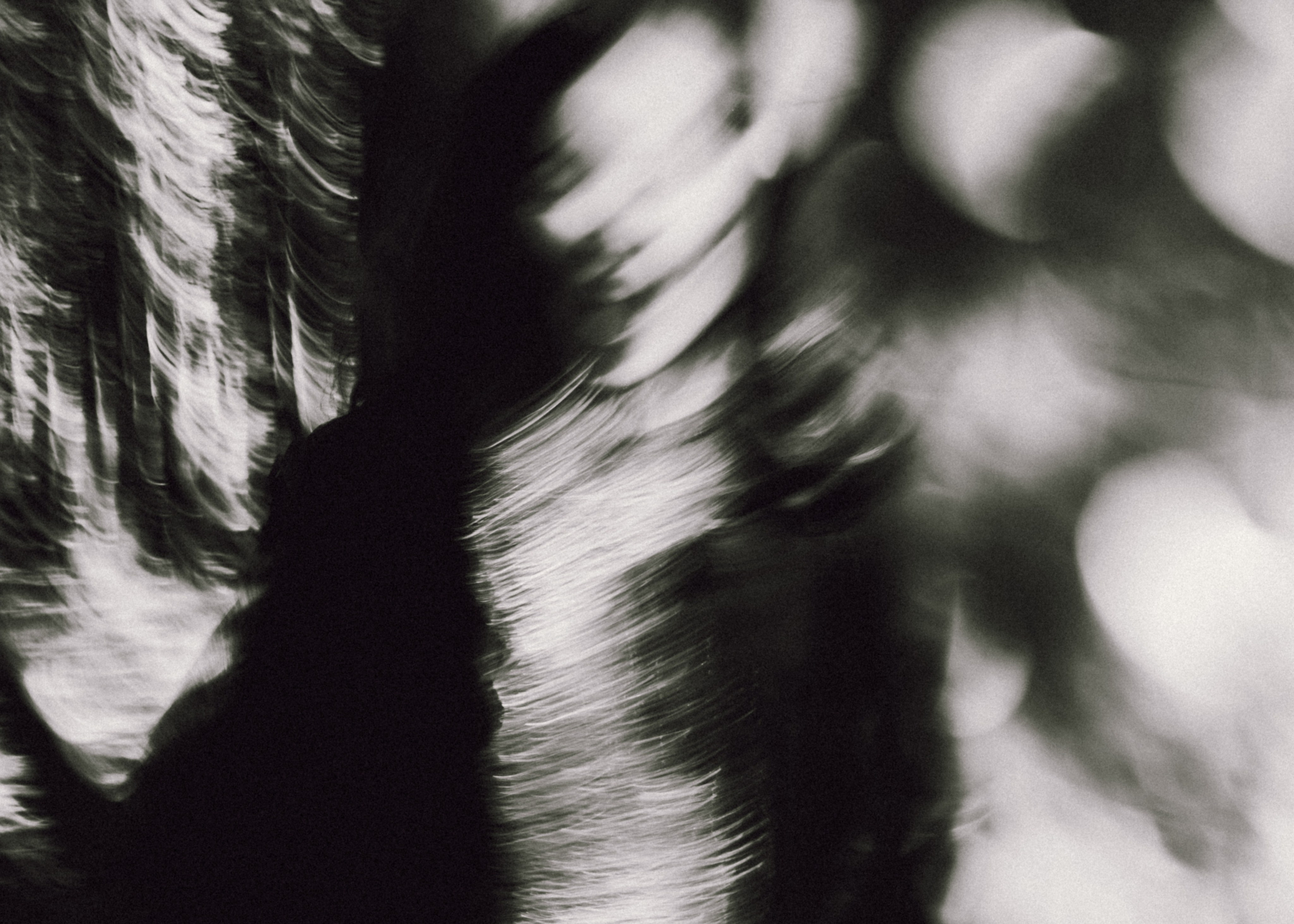 I give you back my love (with Zulfiia). Ekaterina Tsurkina-Appina Photography Canada