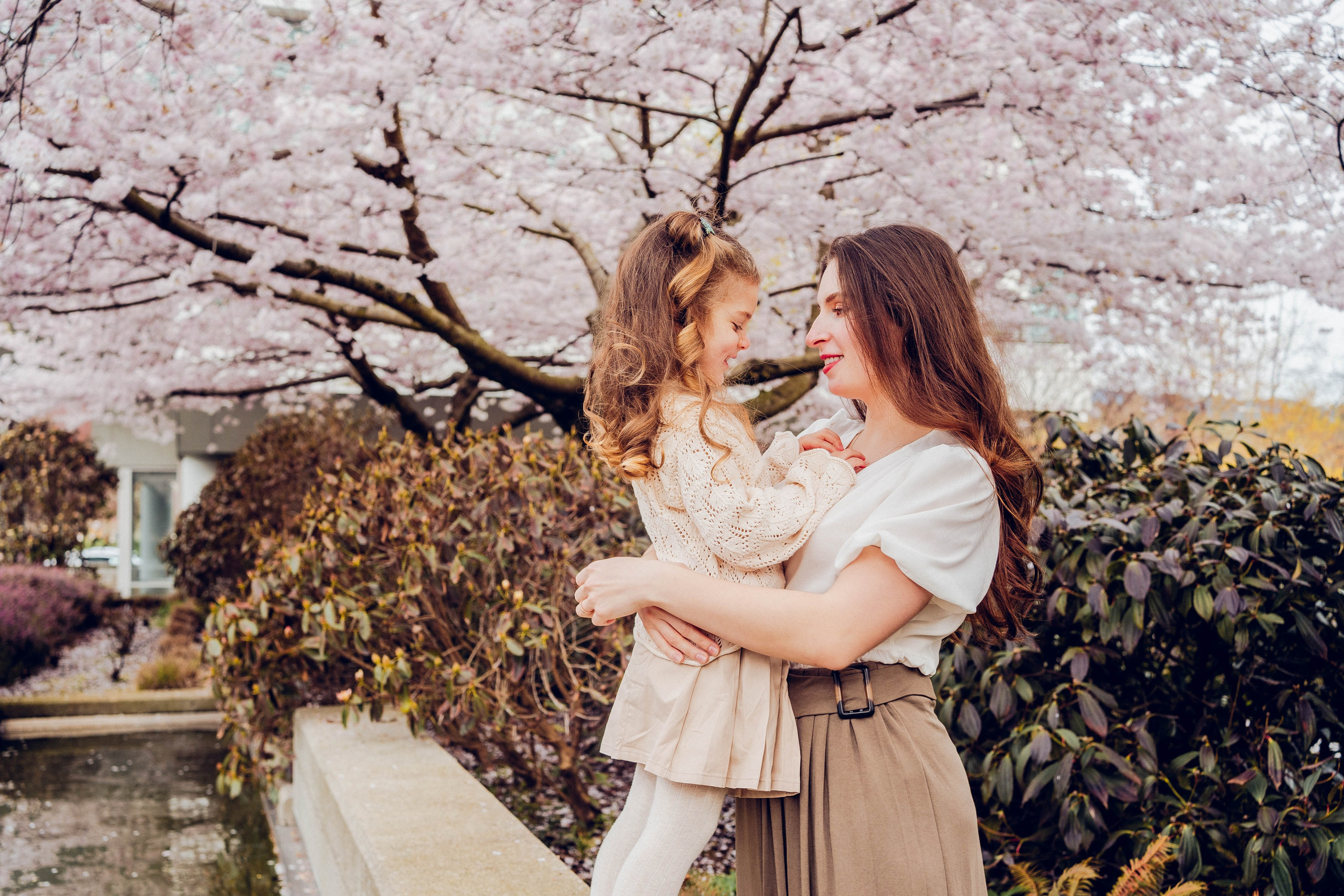 Cherry blossom. Photographer Lana