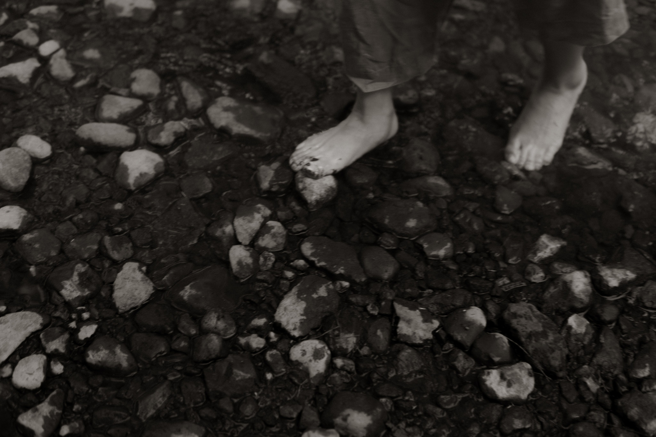 Familia - Gutiérrez Martínez. TWO MILLIMETERS