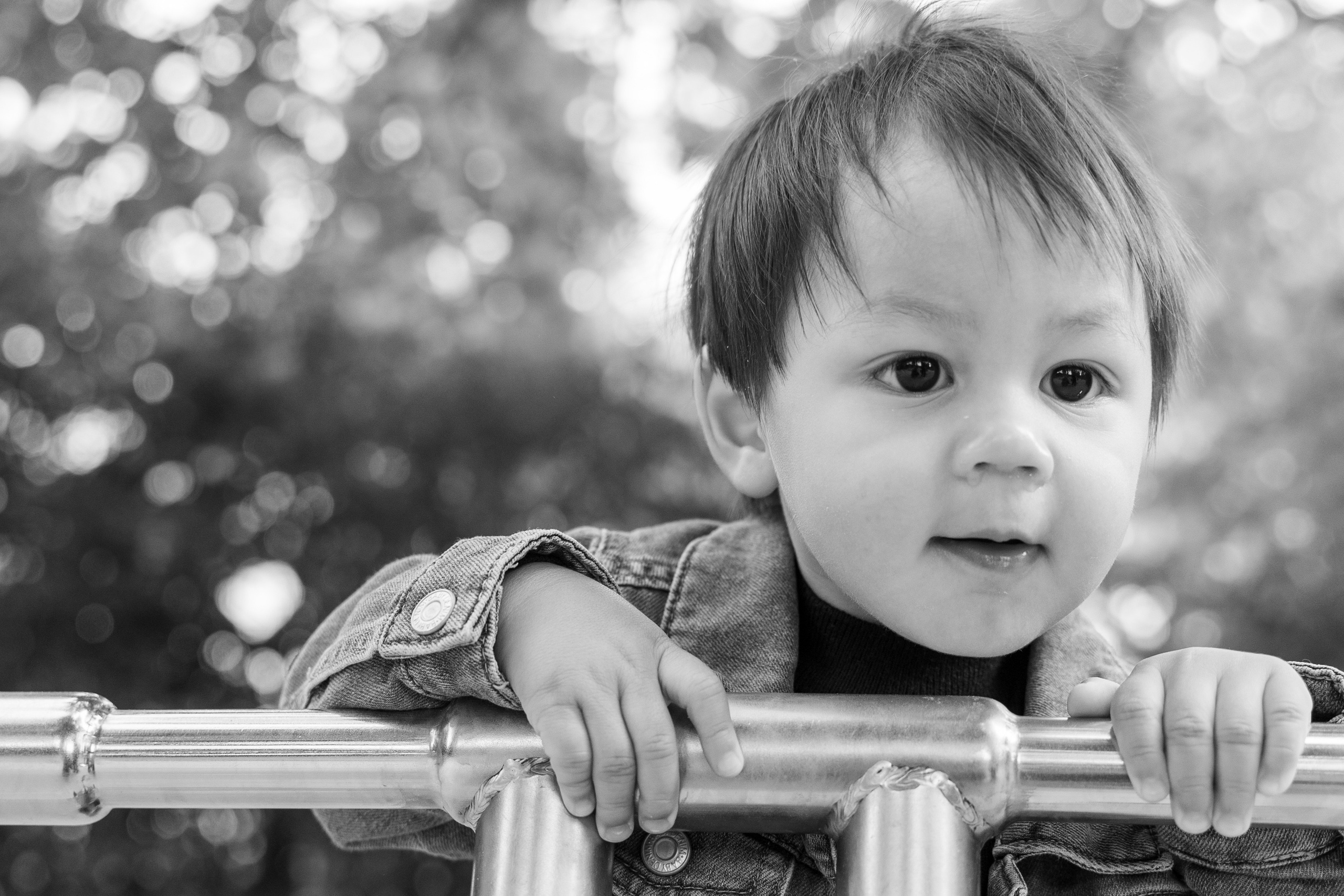 Ontario Family Photographer | Timeless Family Portraits