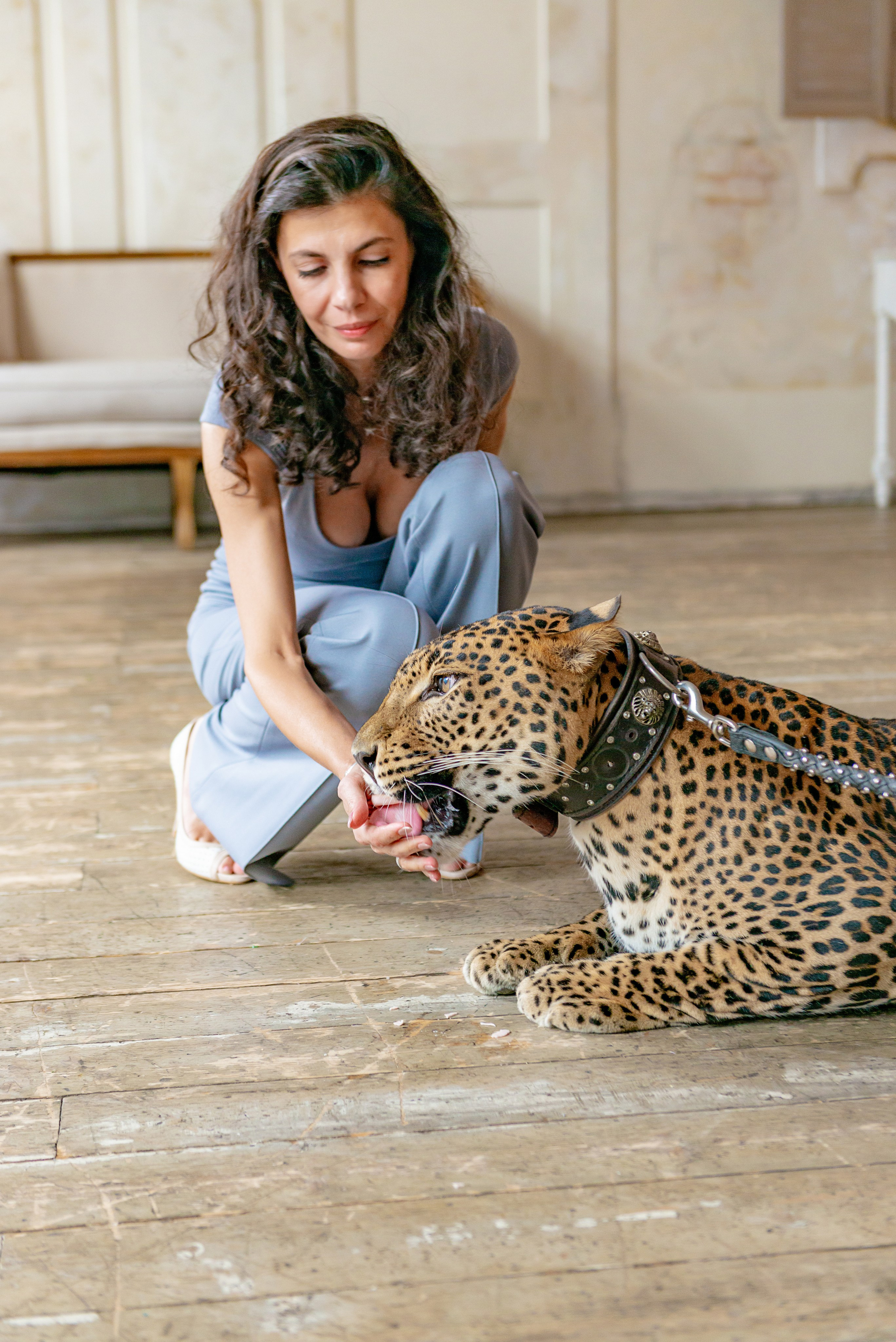 Photosession in the studio with a leopard. PHOTOGRAPHER QUINTANA ROO