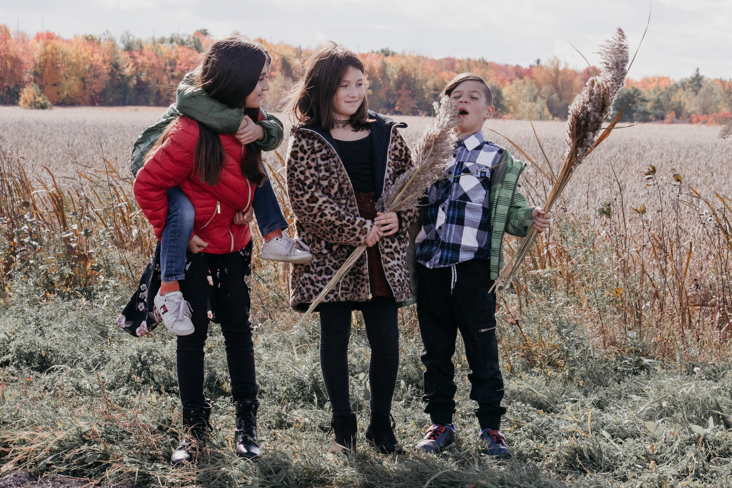 Fall Family Stories