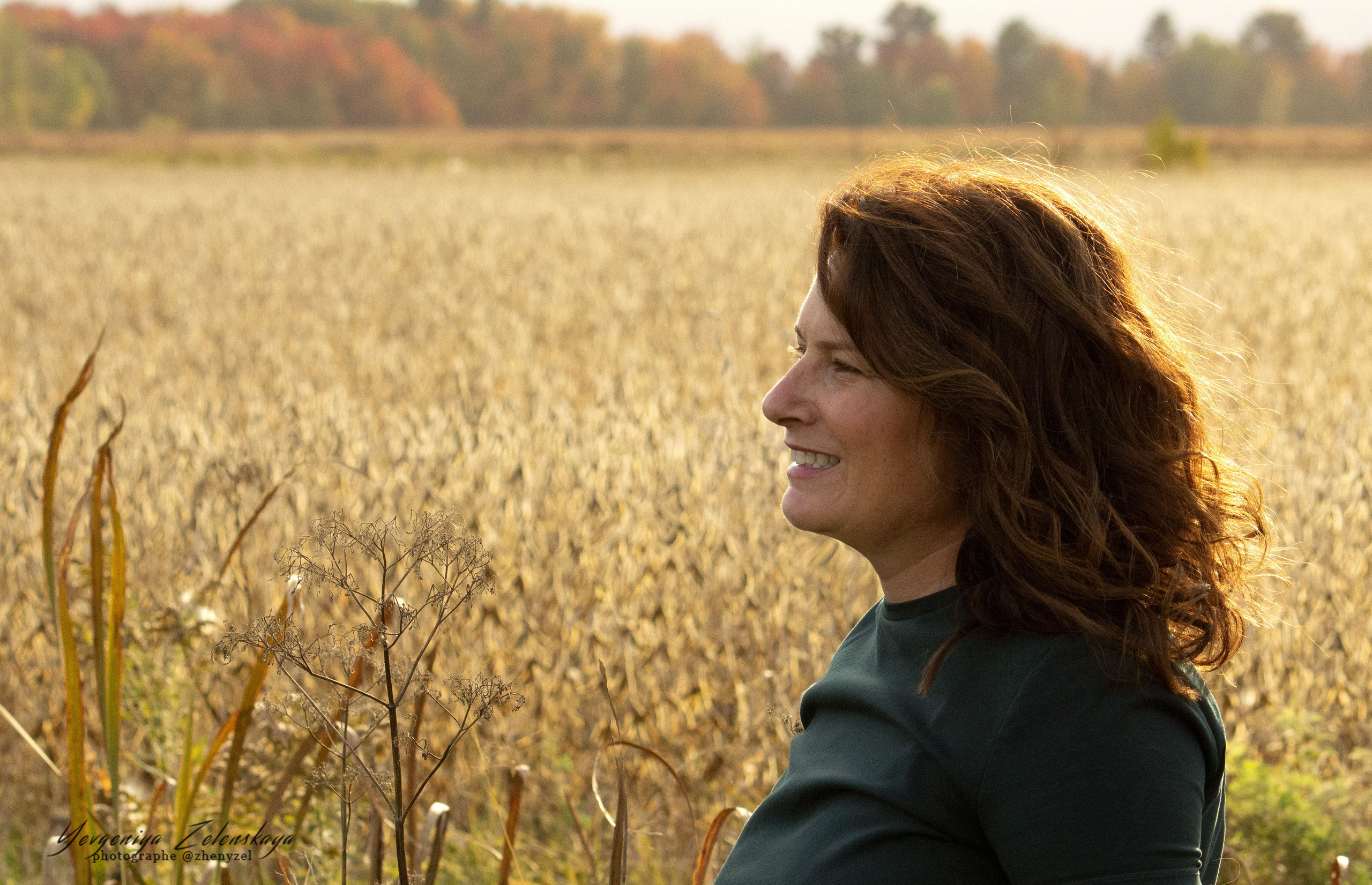 Fall Family Stories
