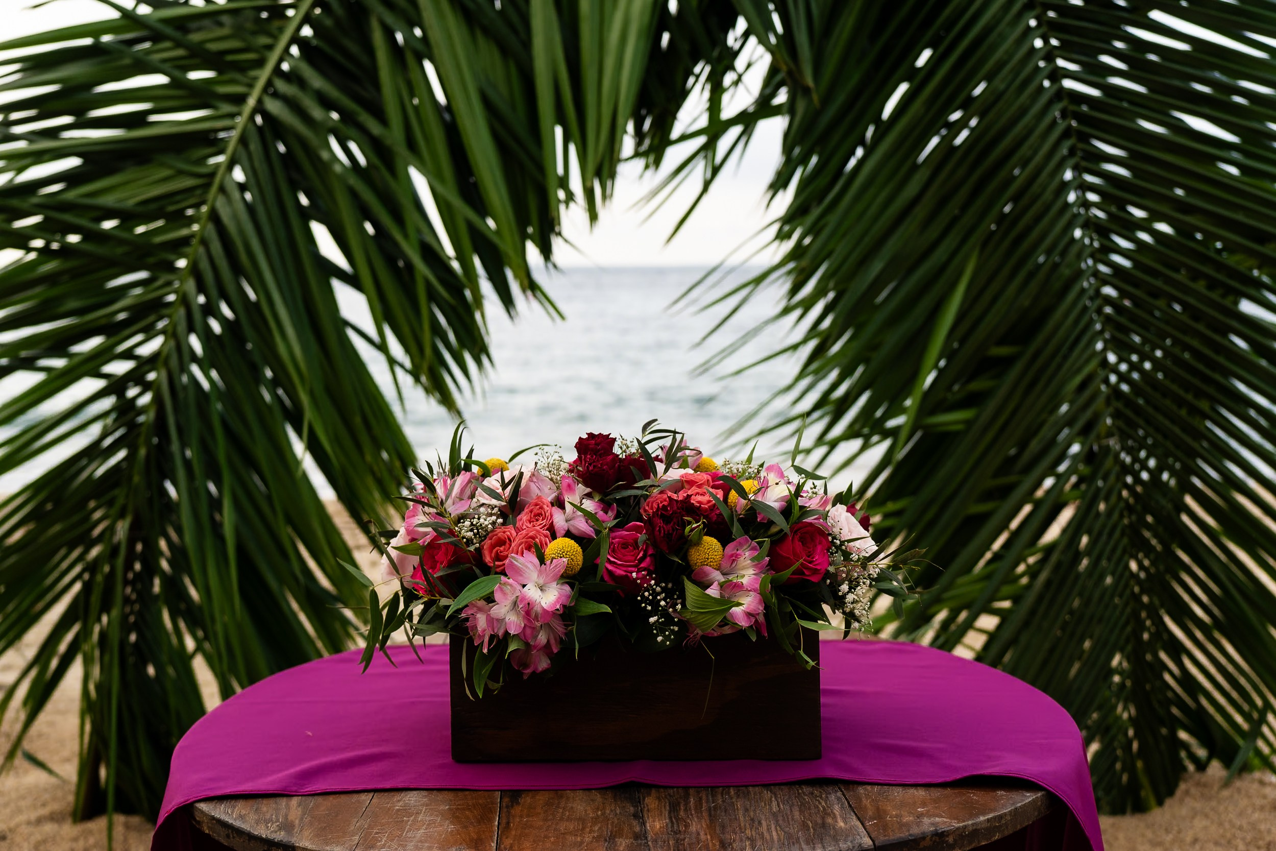 Aggie & Brian. Fotografía de Bodas Profesionales en Puerto Vallarta y Riviera Nayarit