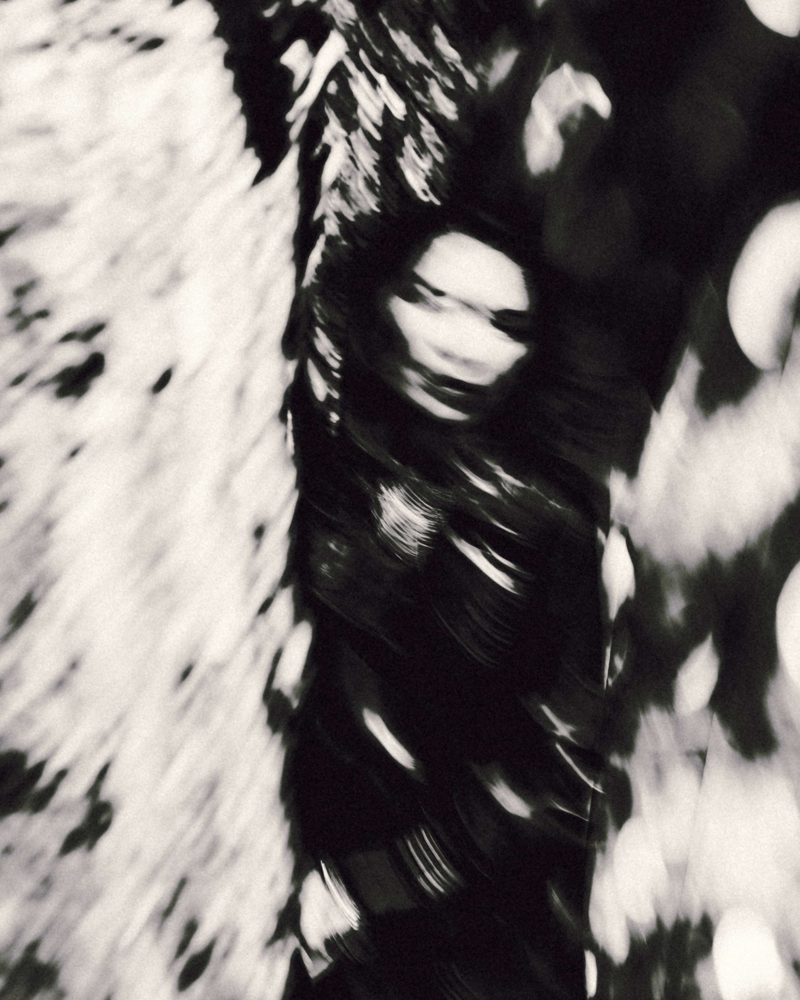 I give you back my love (with Zulfiia). Ekaterina Tsurkina-Appina Photography Canada