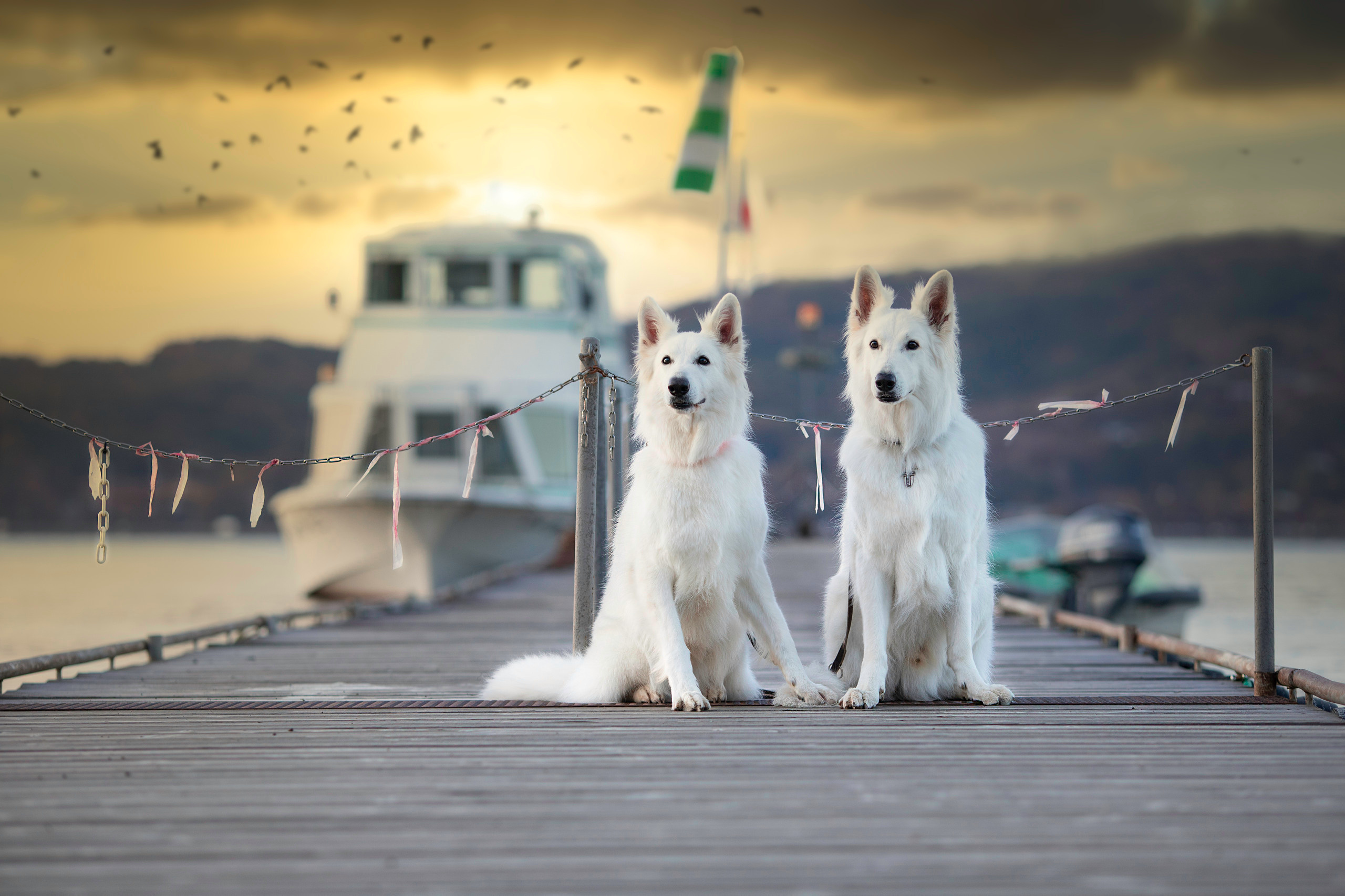 出張カメラマン　七五三　753 家族写真　家族　子供　記念写真　山梨県　東京　静岡　長野. Kids and Family Photographer in Japan　子供と家族の撮影　日本