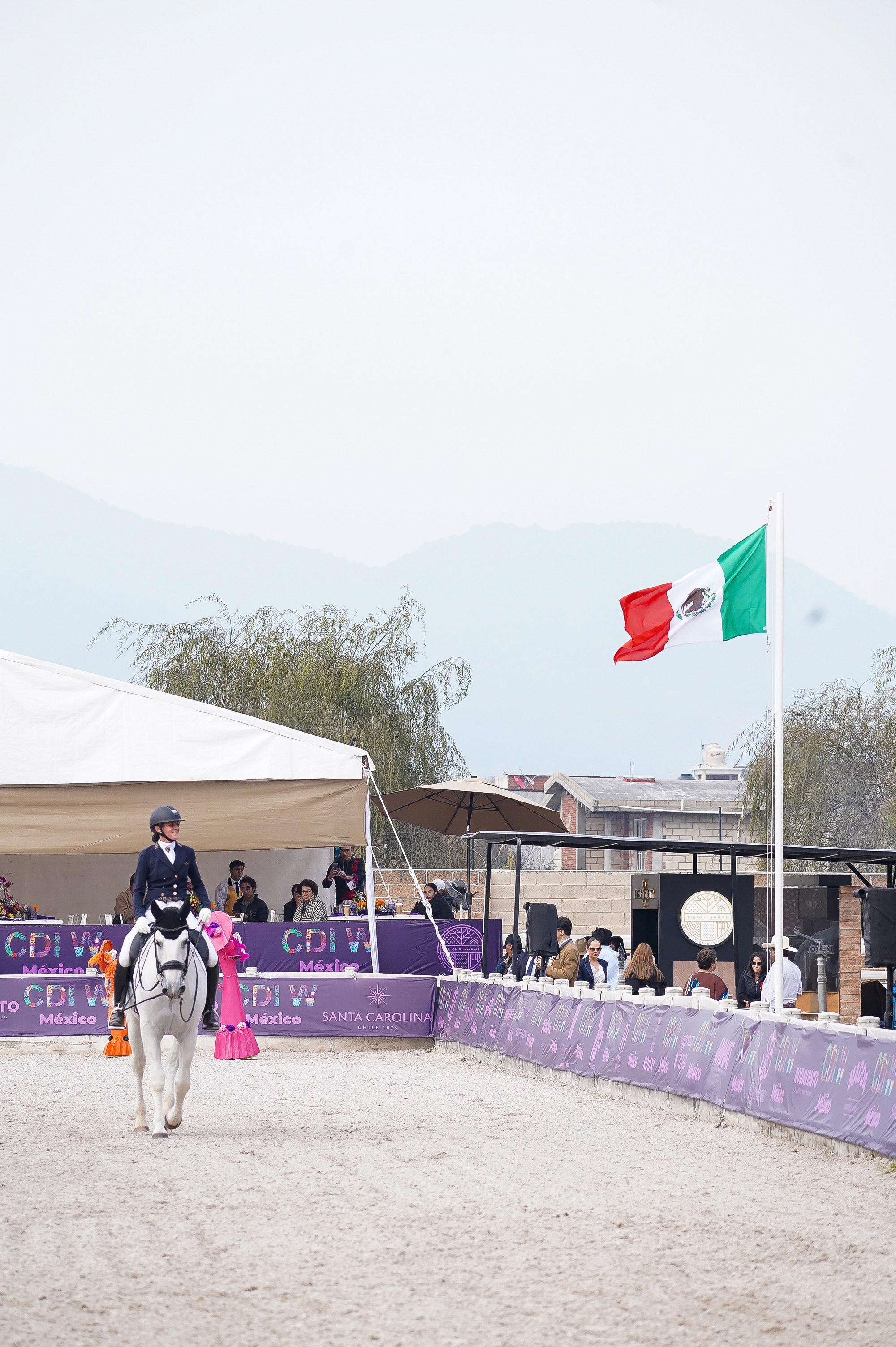 Vacation photoshoot in Mexico City. Capture your trip with a professional photographer. Horse riding dressage doma clasica show jumping Tour. Ekaterina Frolova photography