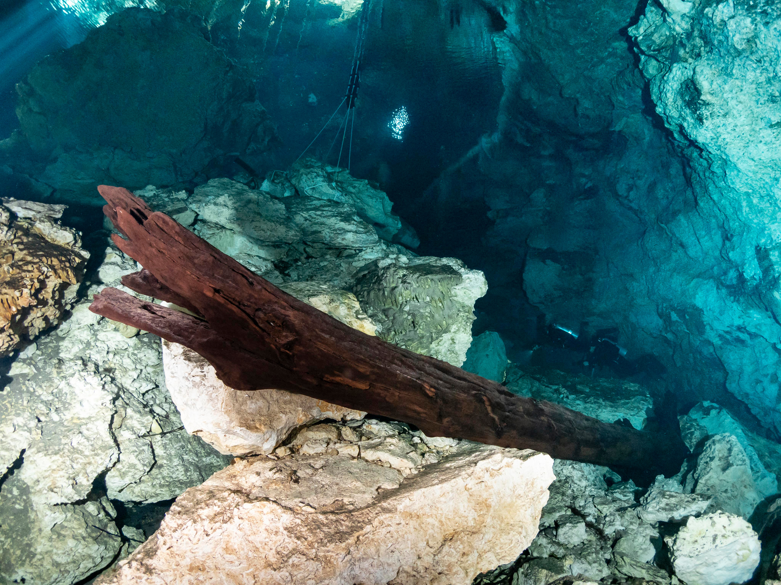 Сenote. Your photographer on land and under water— Alexey Zaytsev