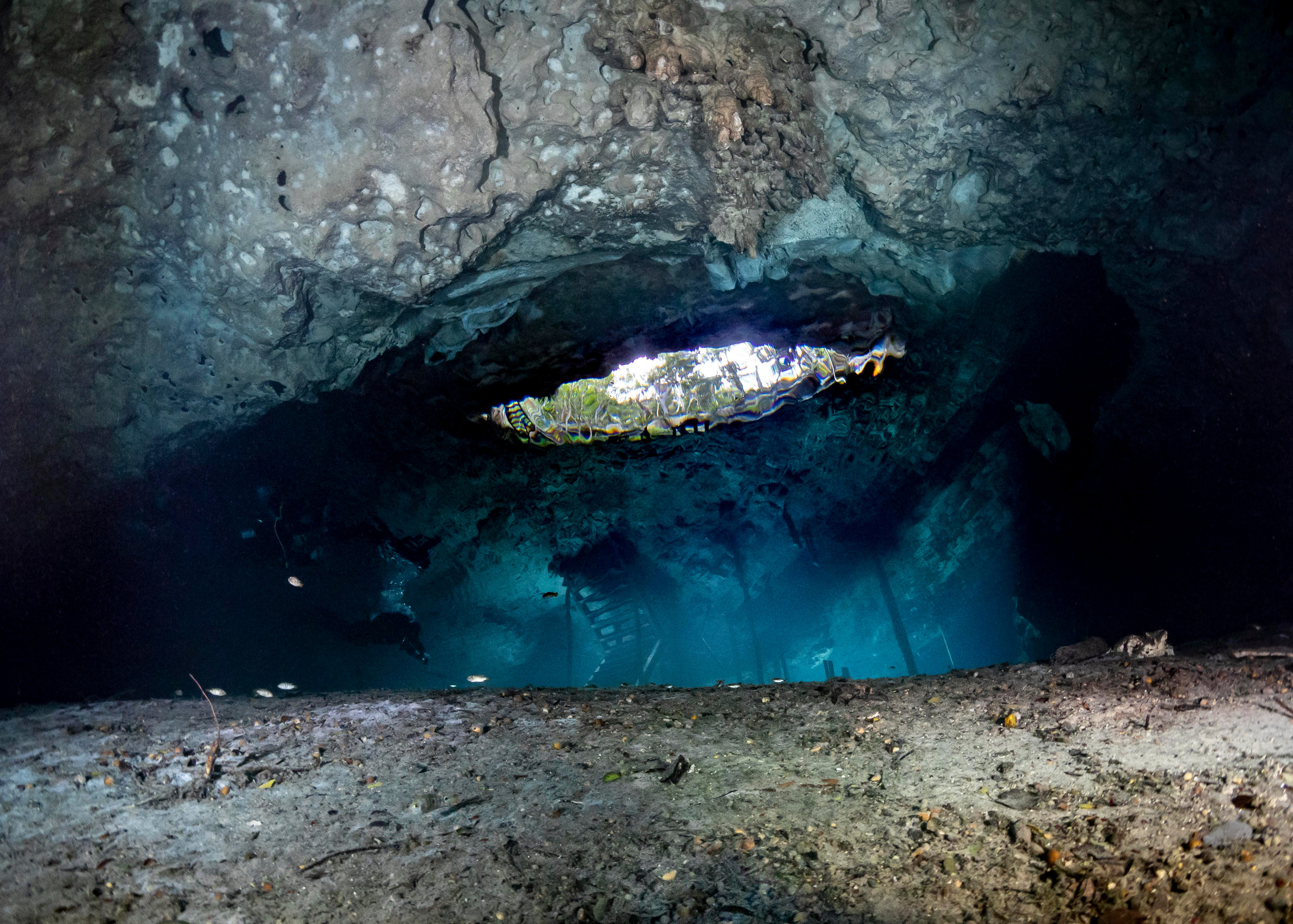 Сenote. Your photographer on land and under water— Alexey Zaytsev