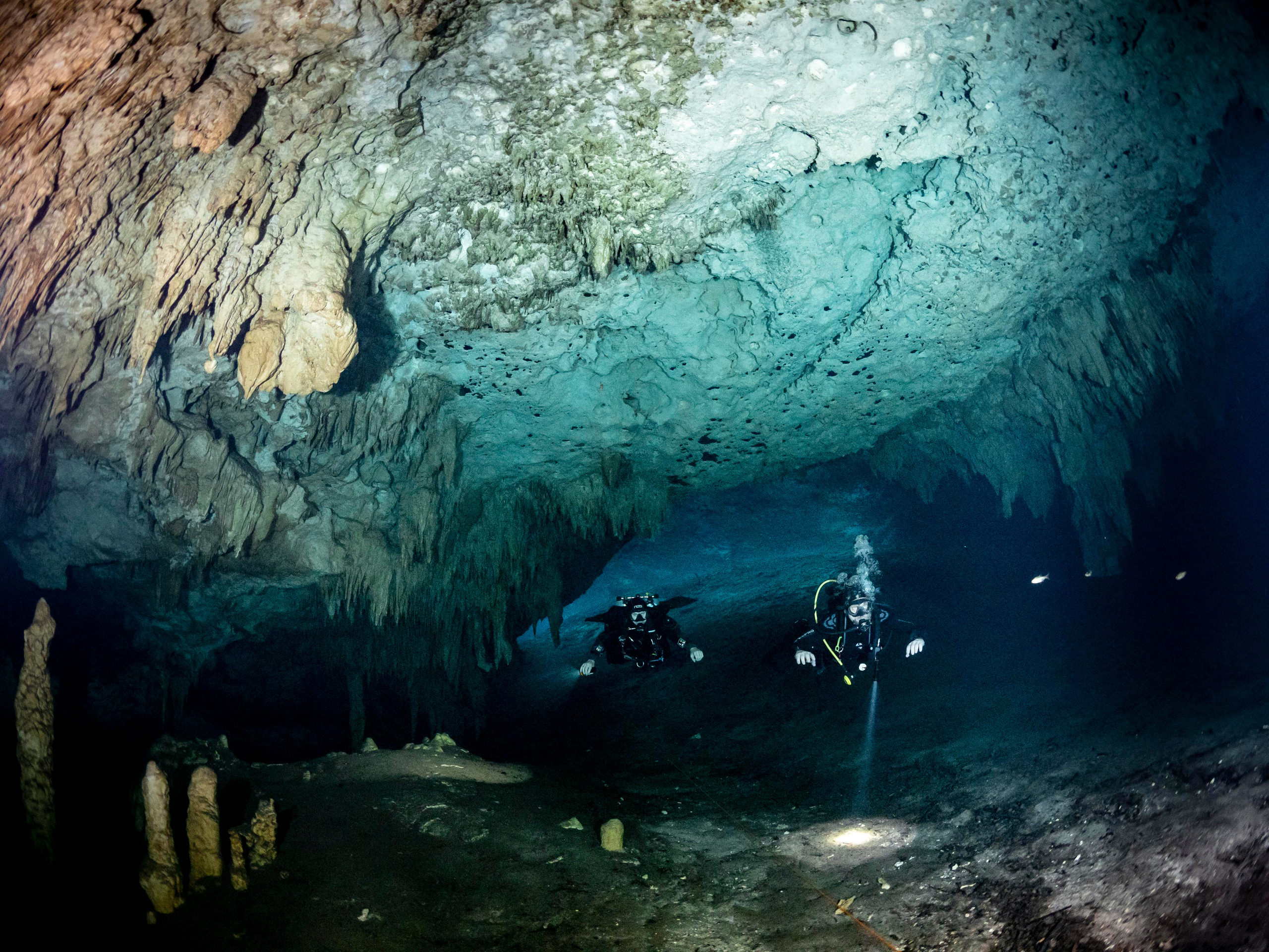 Сenote. Your photographer on land and under water— Alexey Zaytsev