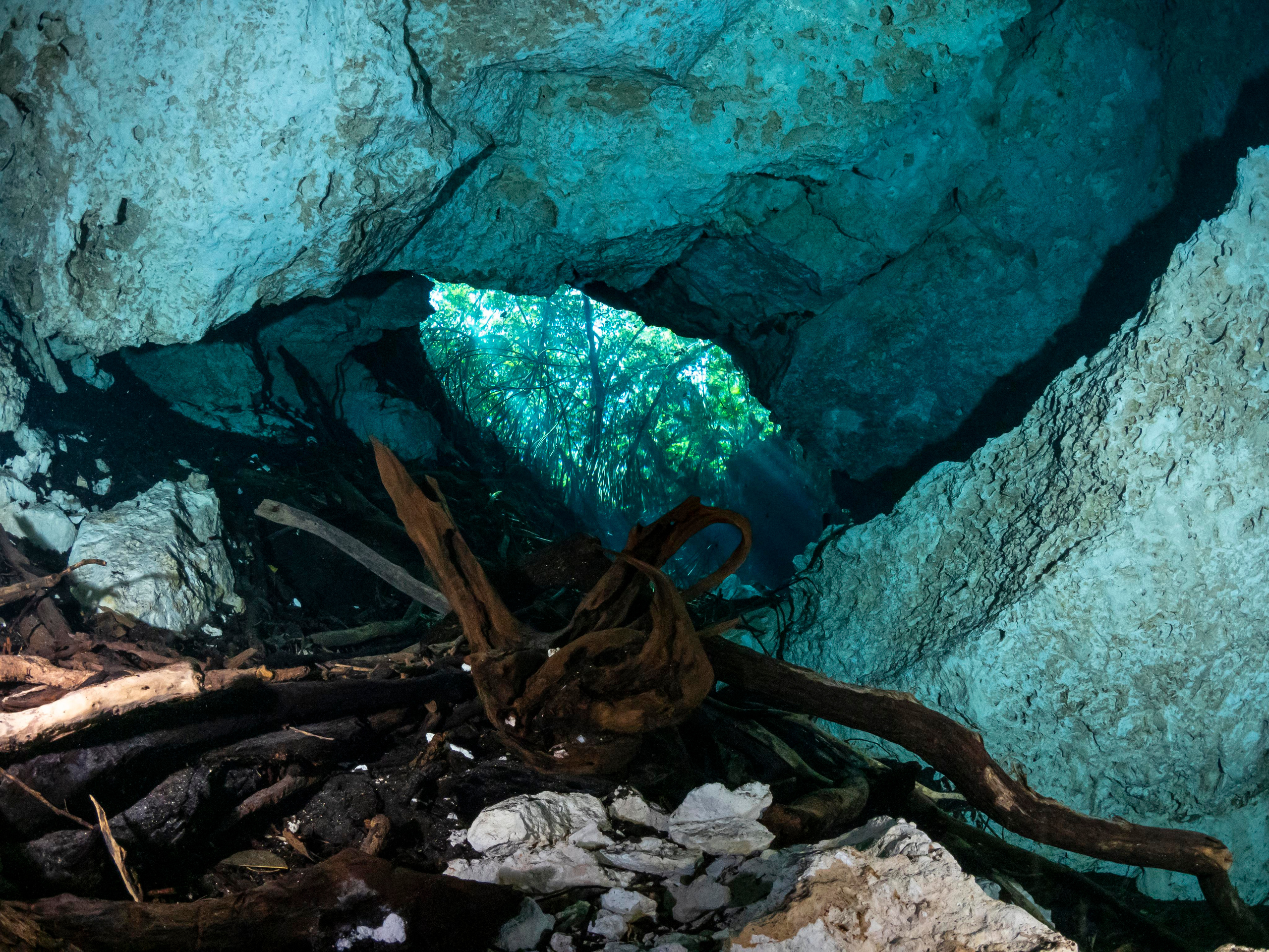 Сenote. Your photographer on land and under water— Alexey Zaytsev
