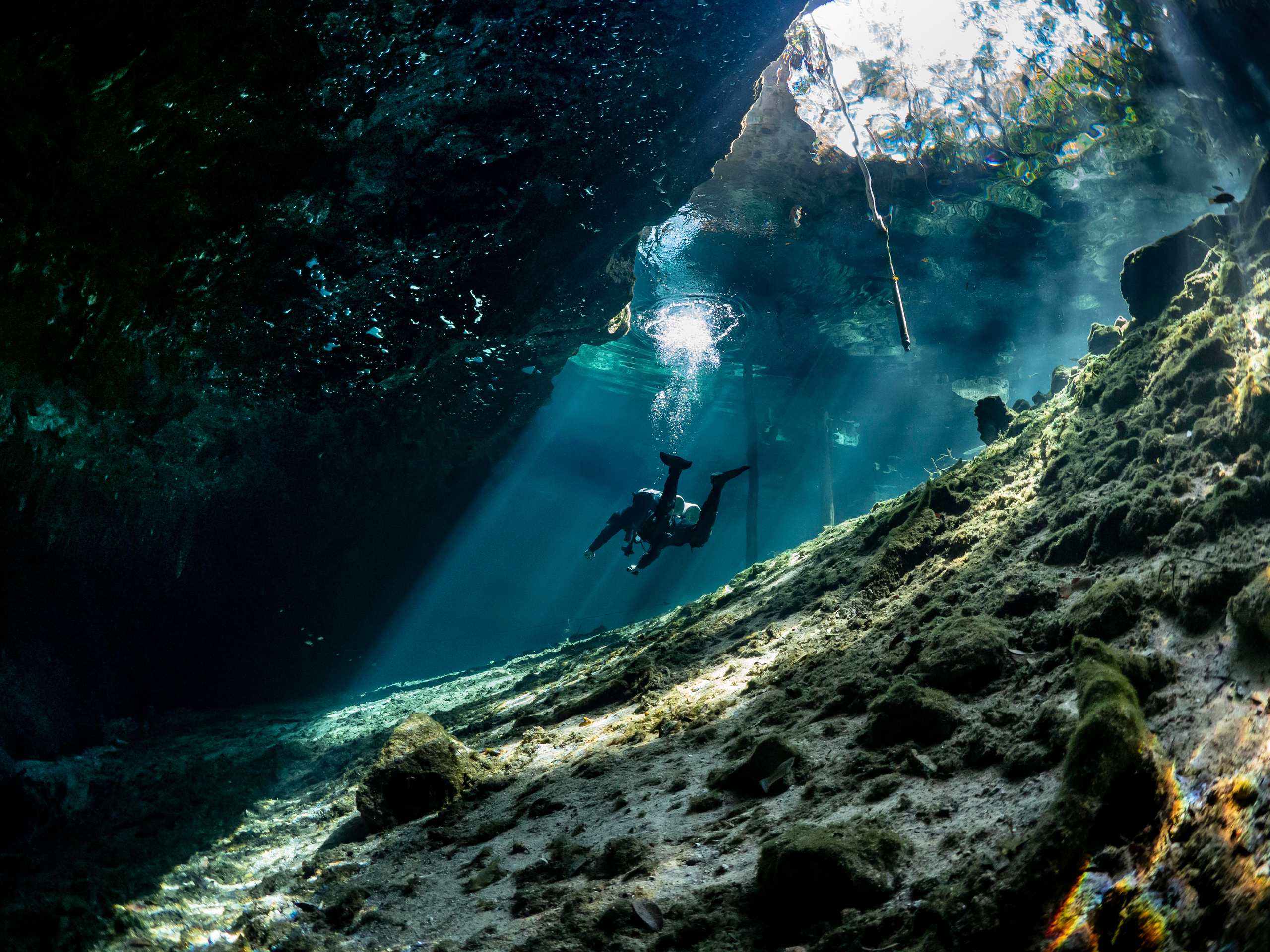 Сenote. Your photographer on land and under water— Alexey Zaytsev