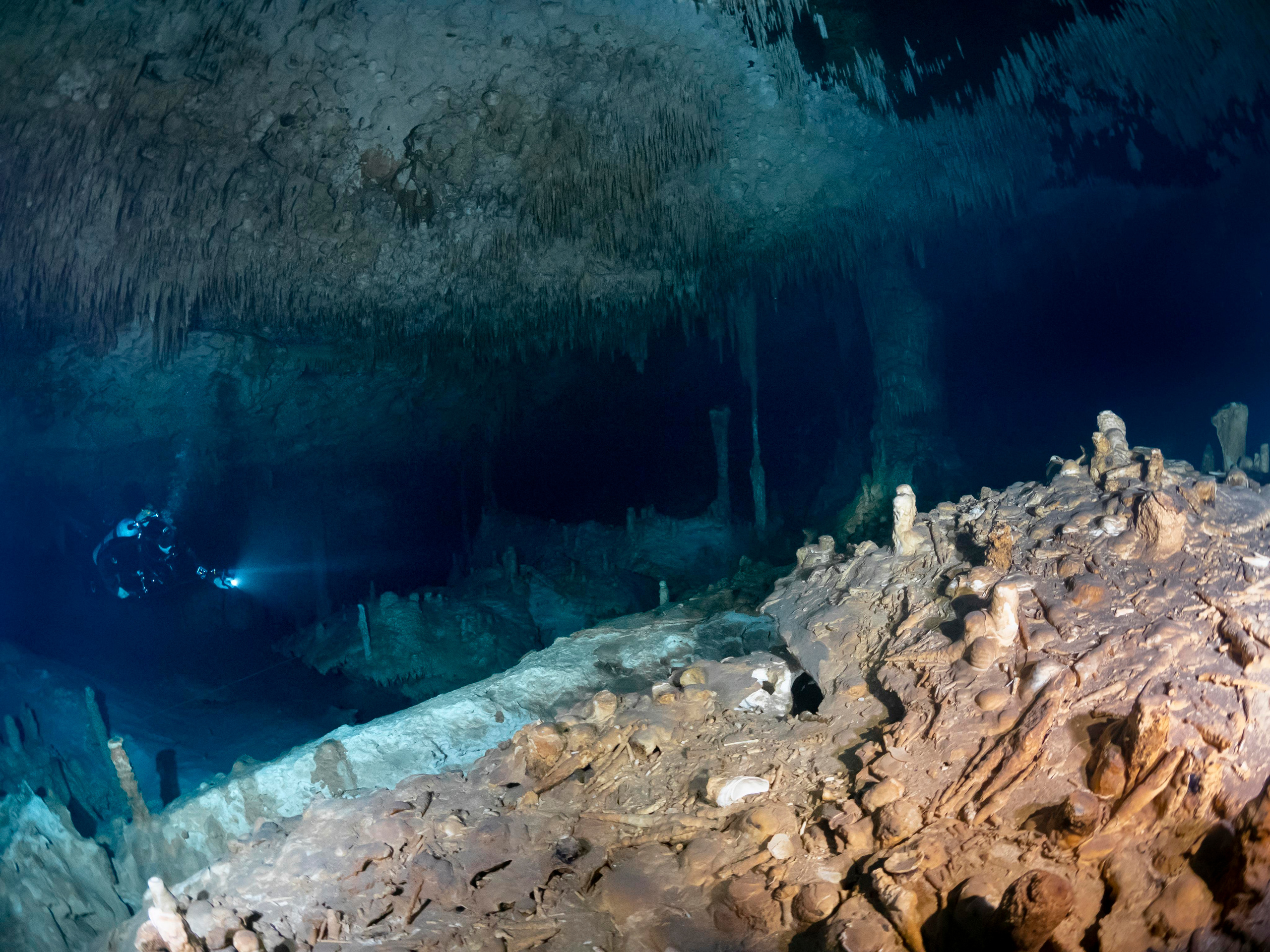 Сenote. Your photographer on land and under water— Alexey Zaytsev