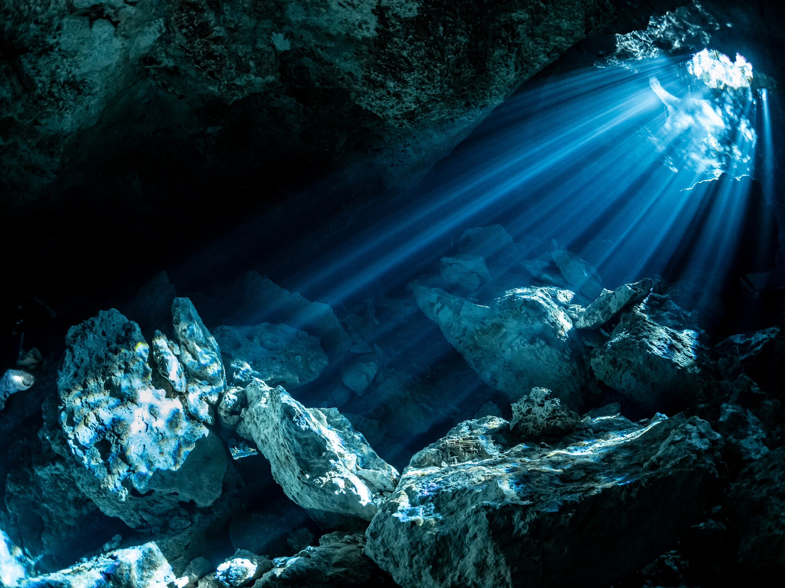 Сenote. Your photographer on land and under water— Alexey Zaytsev