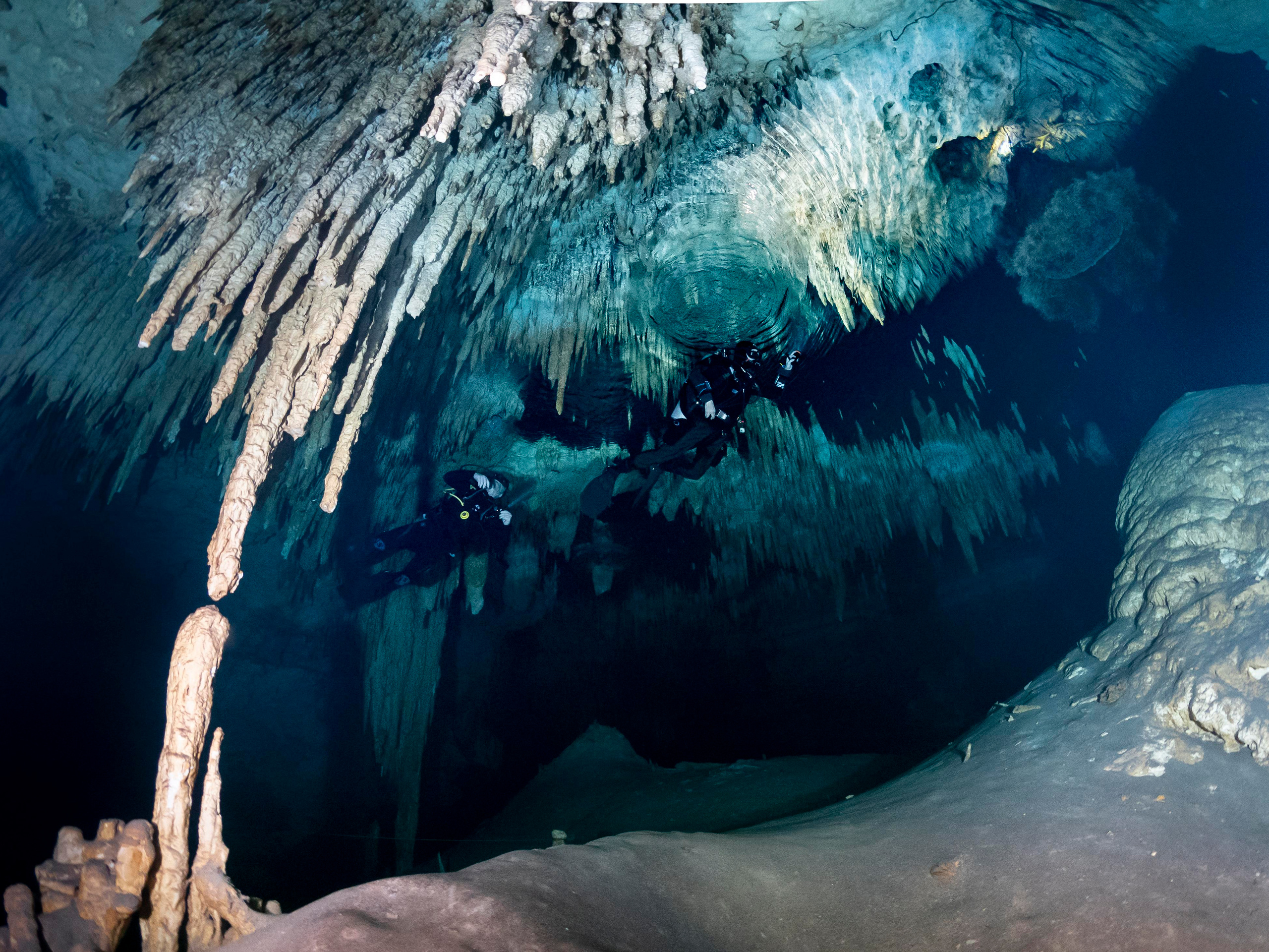 Сenote. Your photographer on land and under water— Alexey Zaytsev