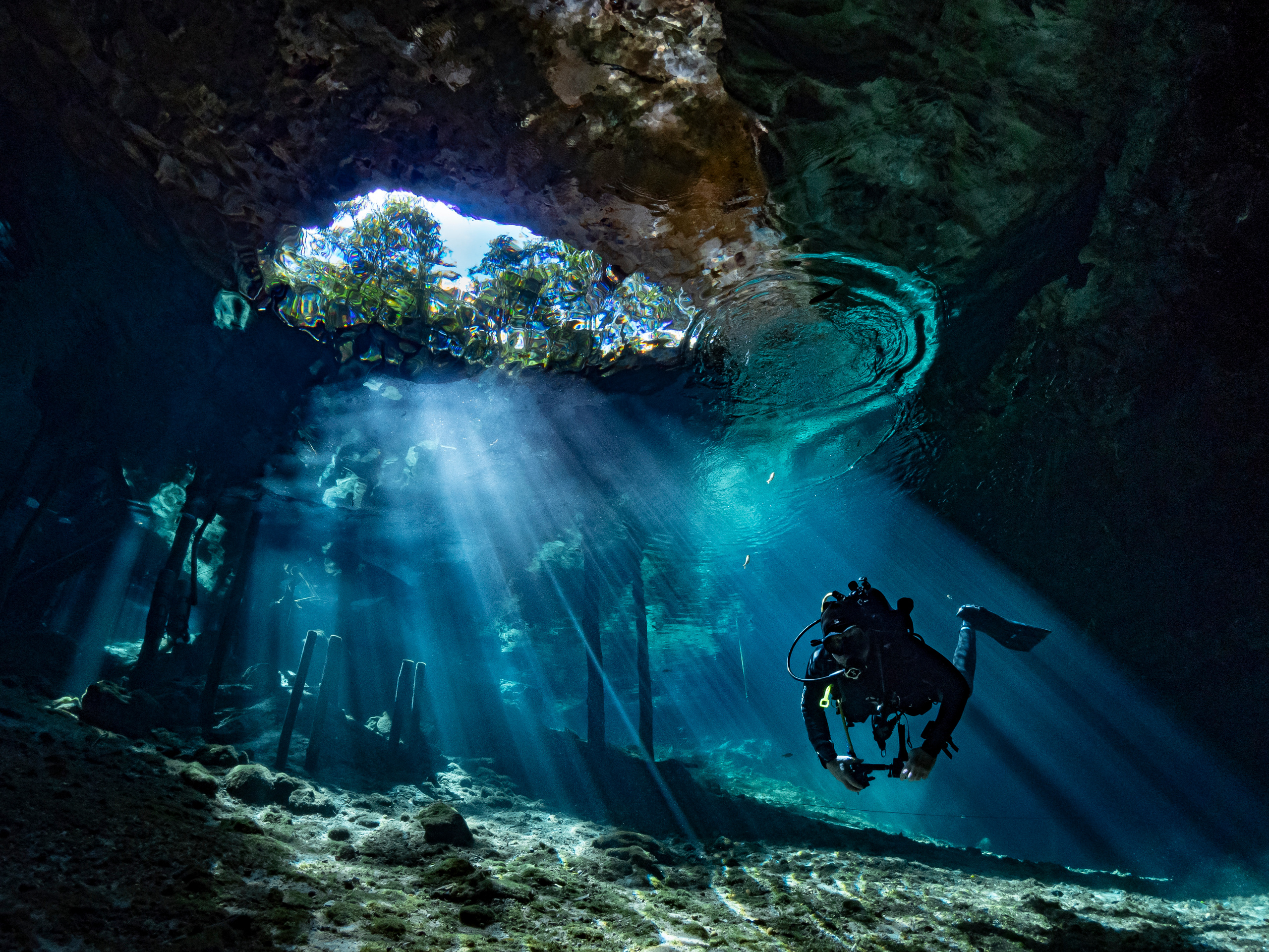 Сenote. Your photographer on land and under water— Alexey Zaytsev